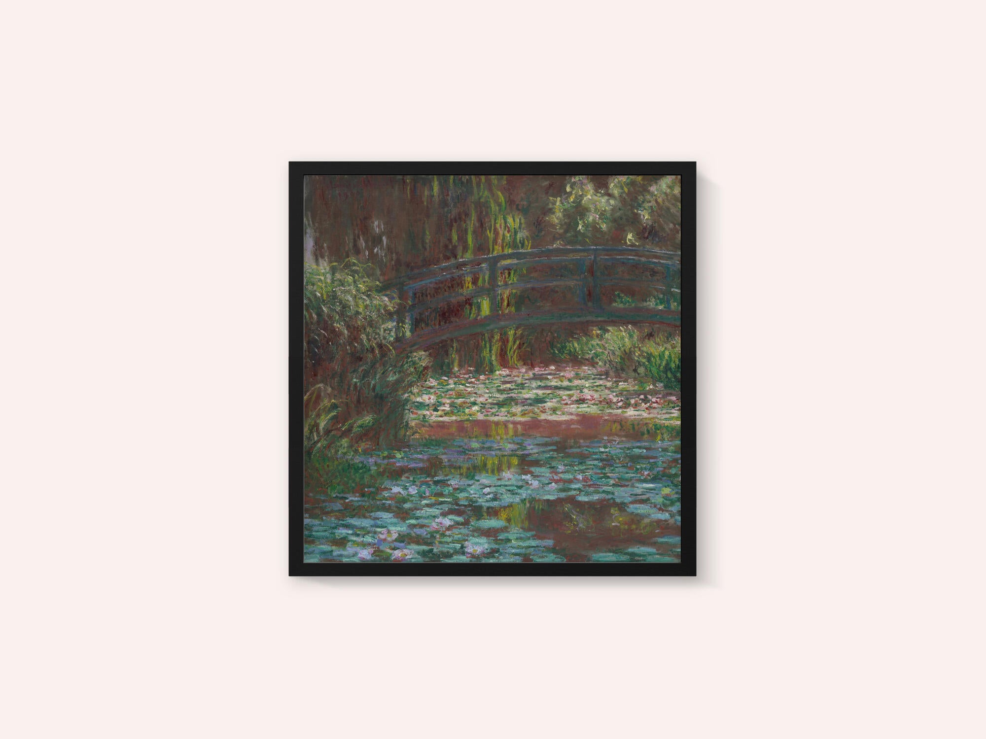 Water Lily Pond