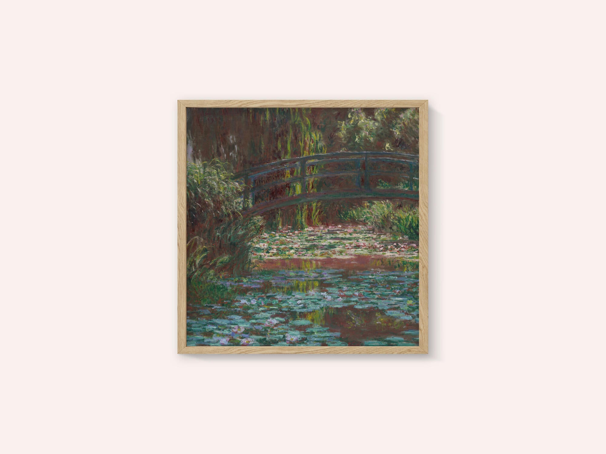 Water Lily Pond