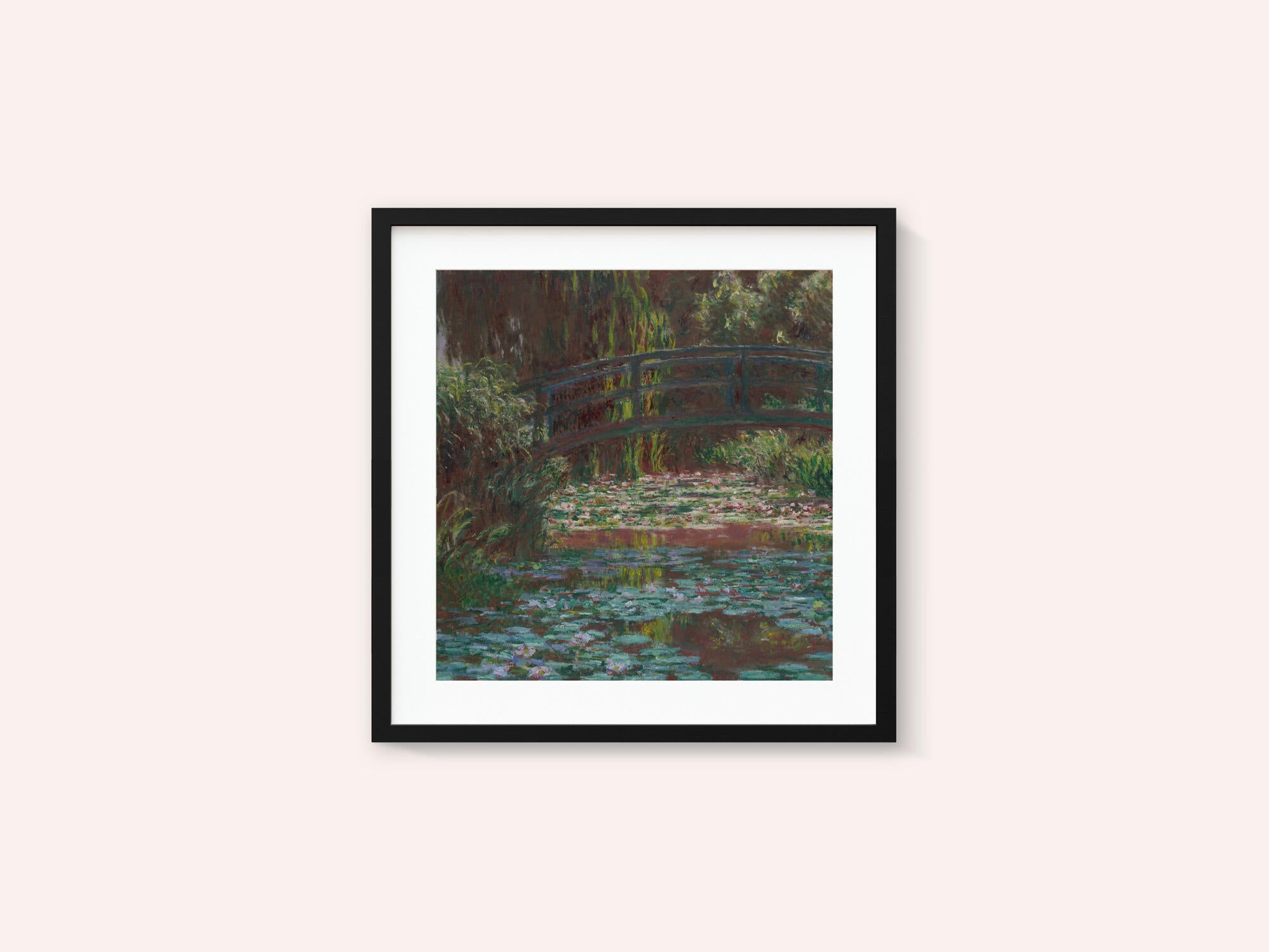 Water Lily Pond