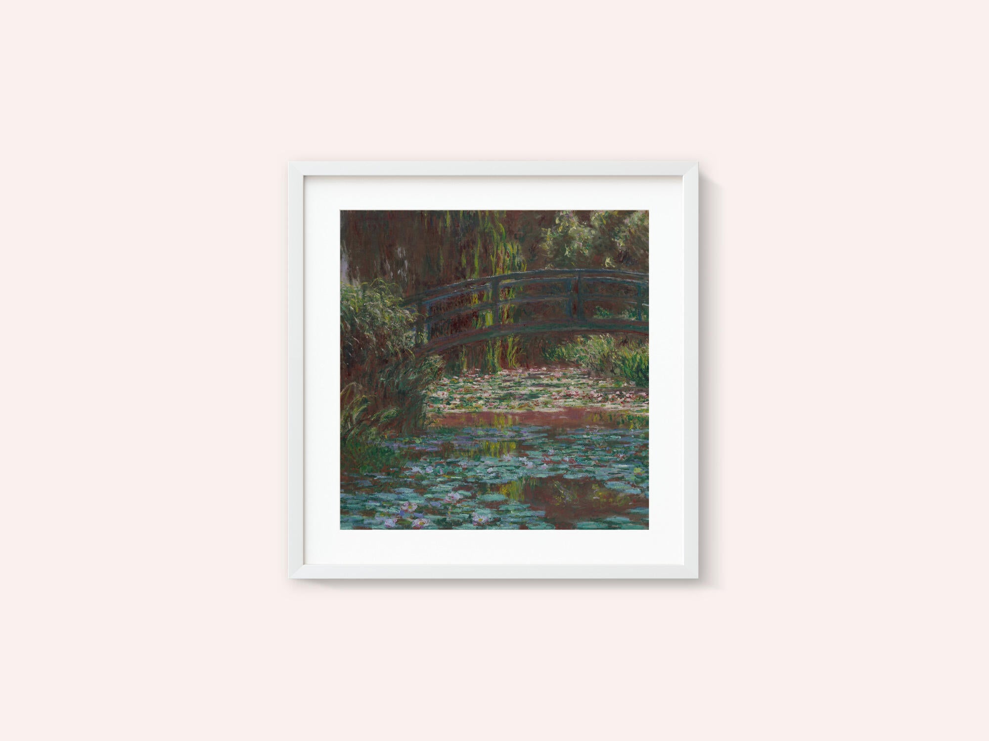 Water Lily Pond