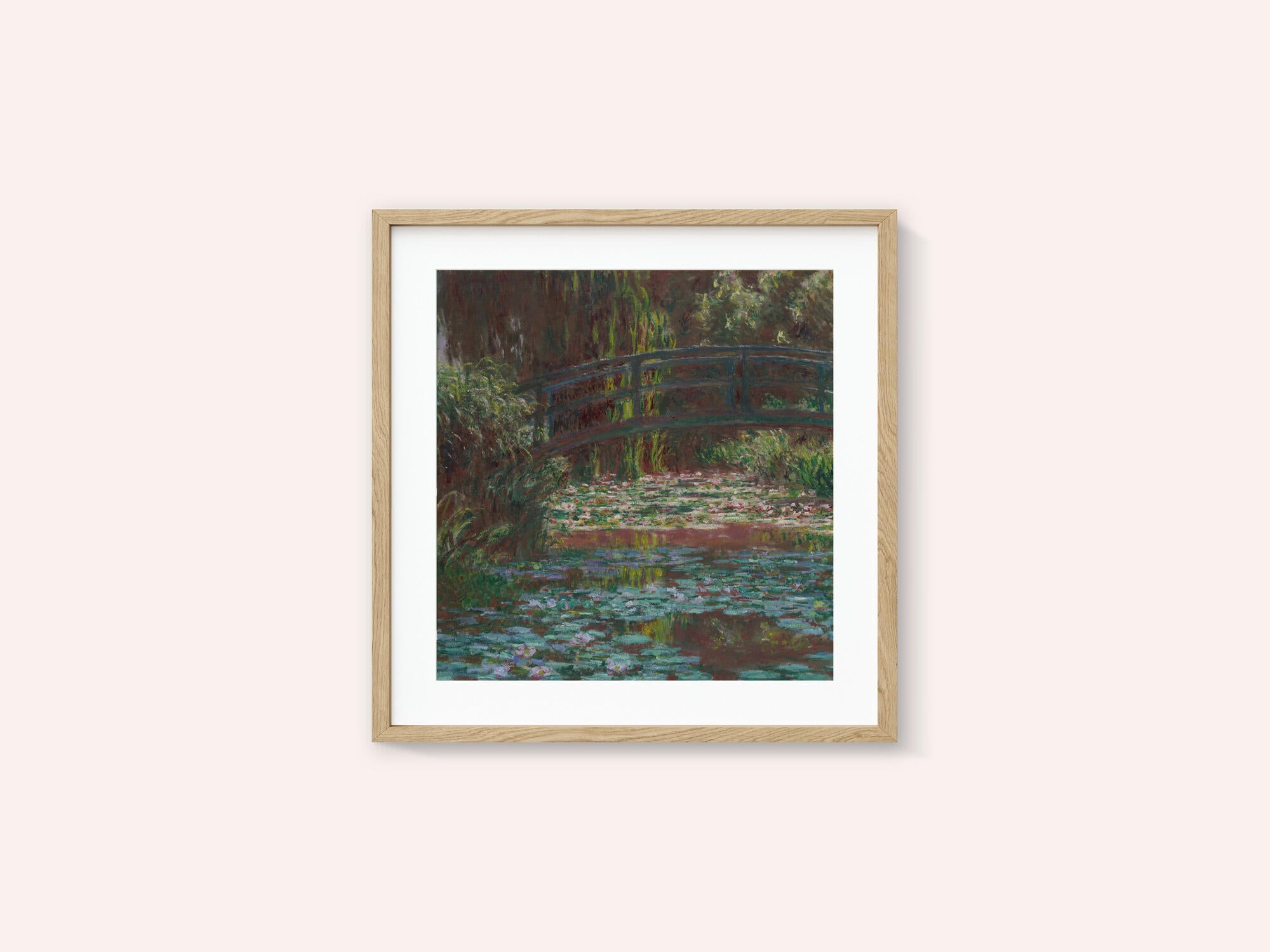 Water Lily Pond