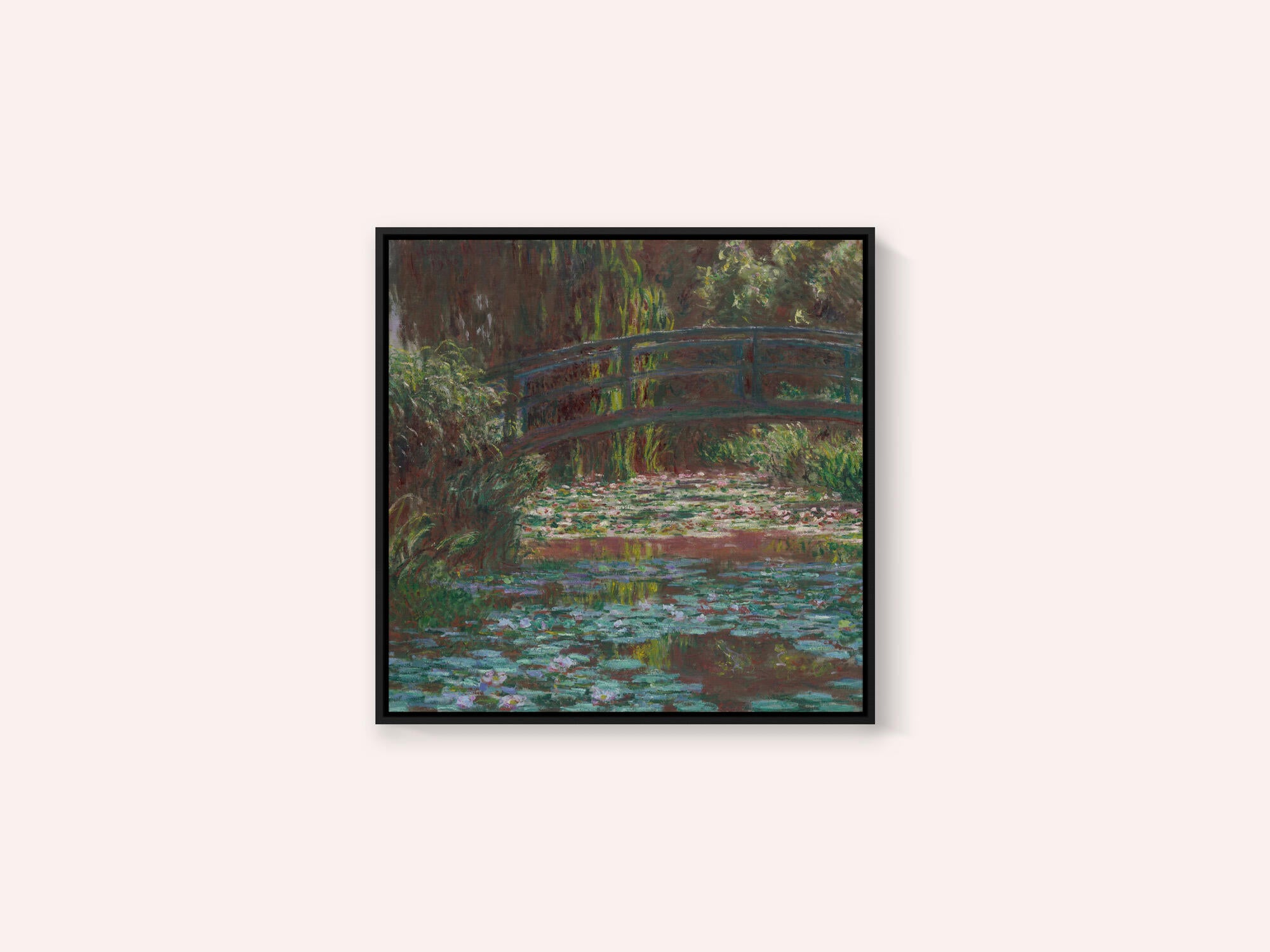 Water Lily Pond