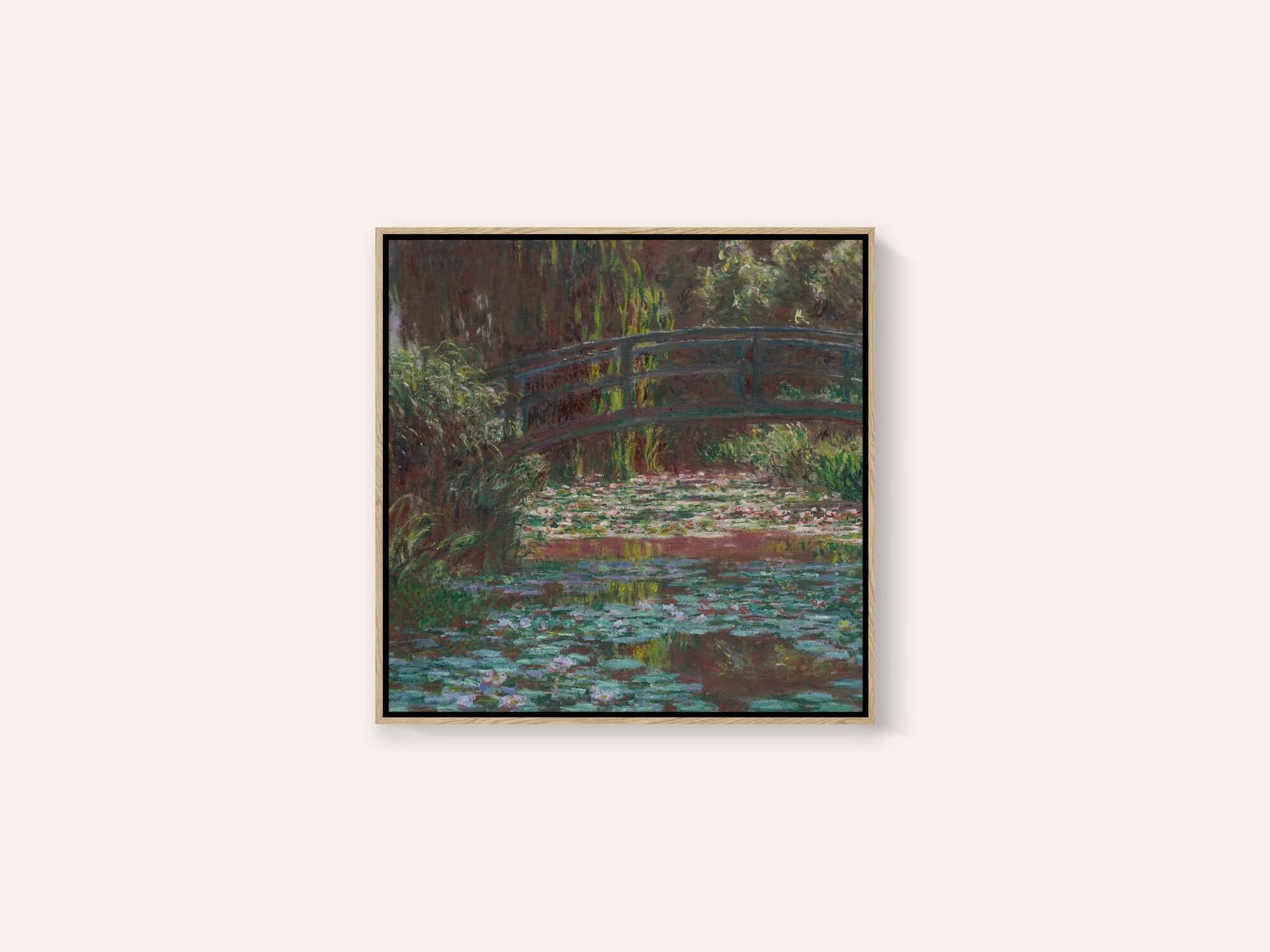 Water Lily Pond