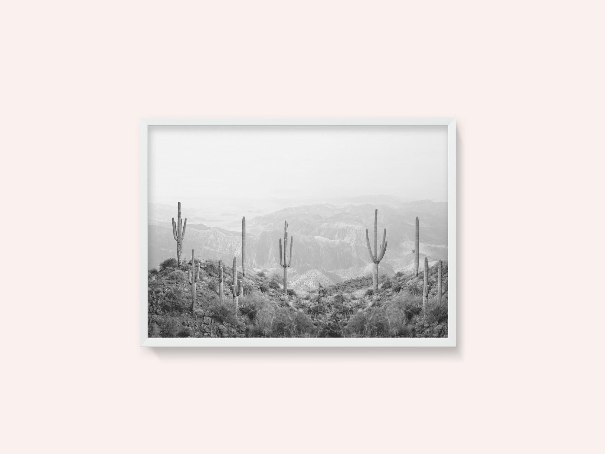 Western Cactus
