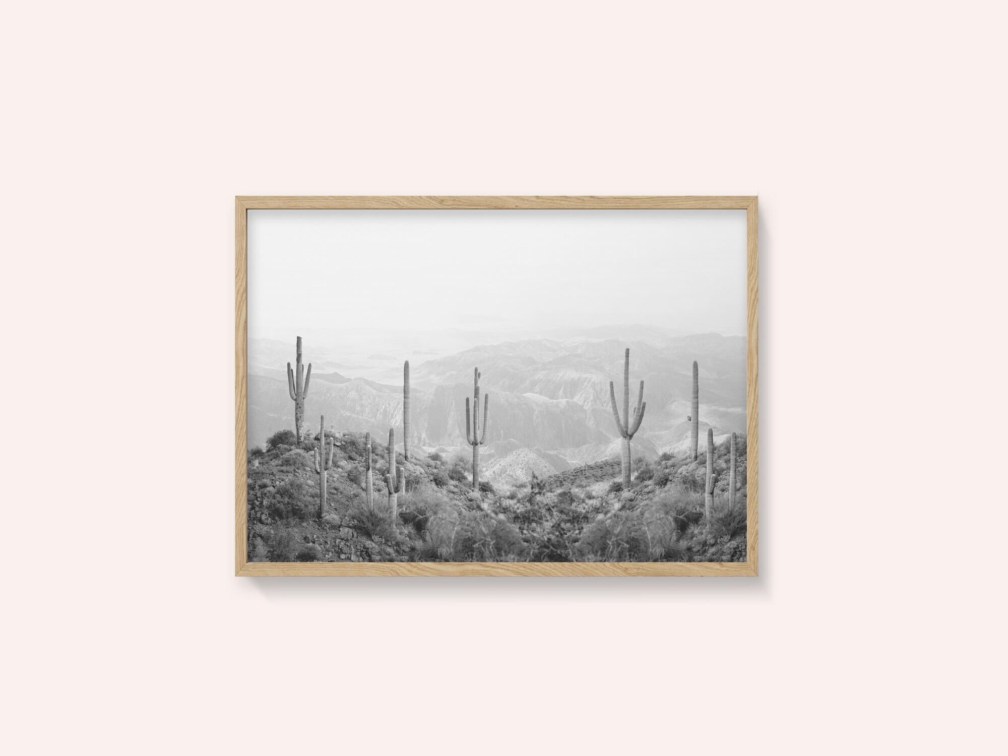 Western Cactus