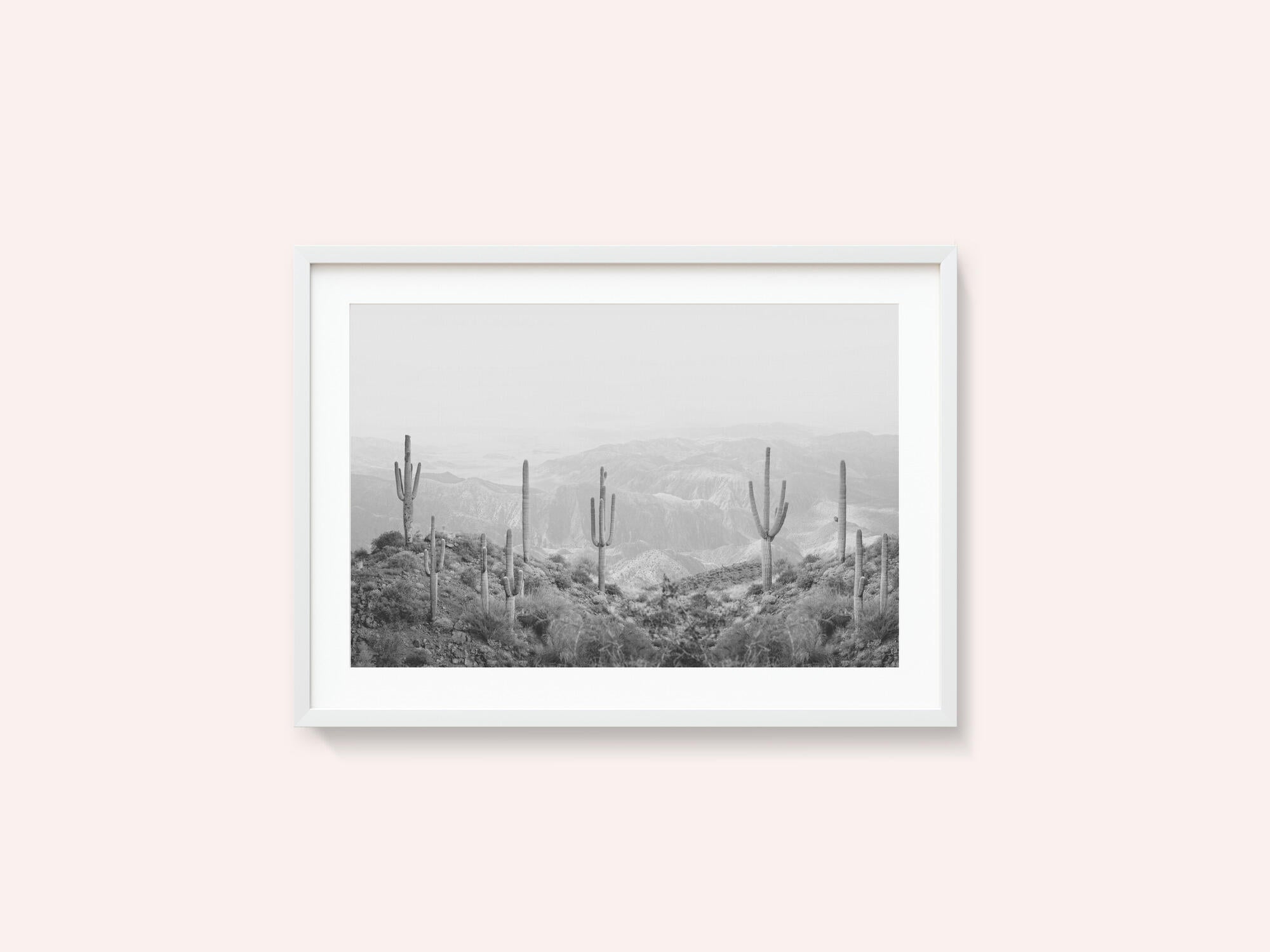 Western Cactus