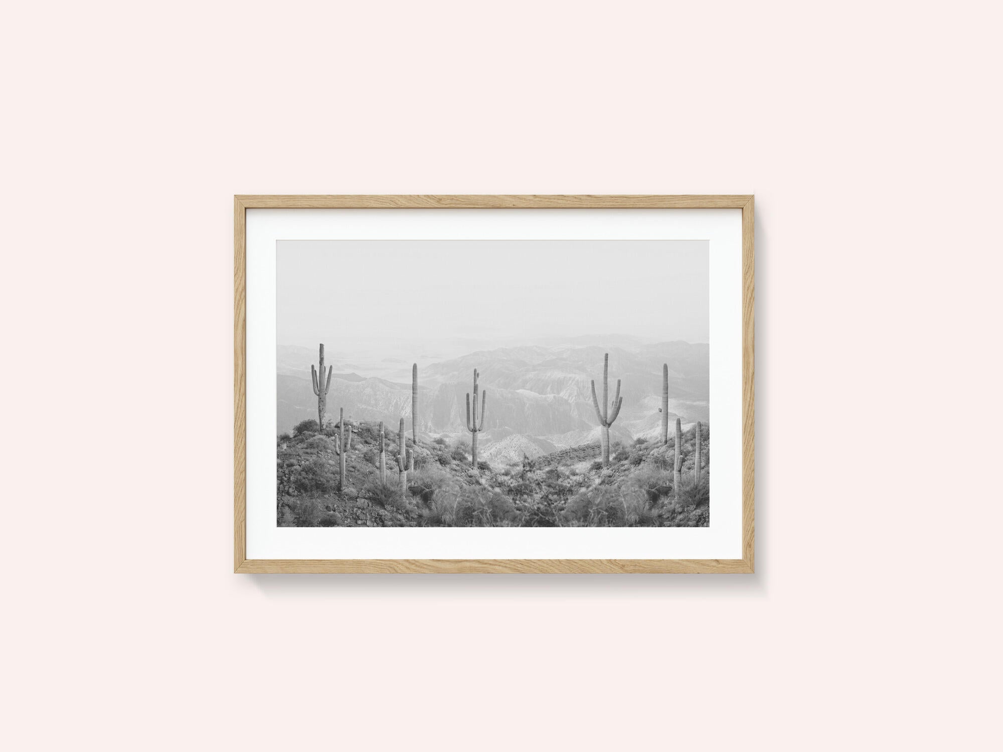 Western Cactus
