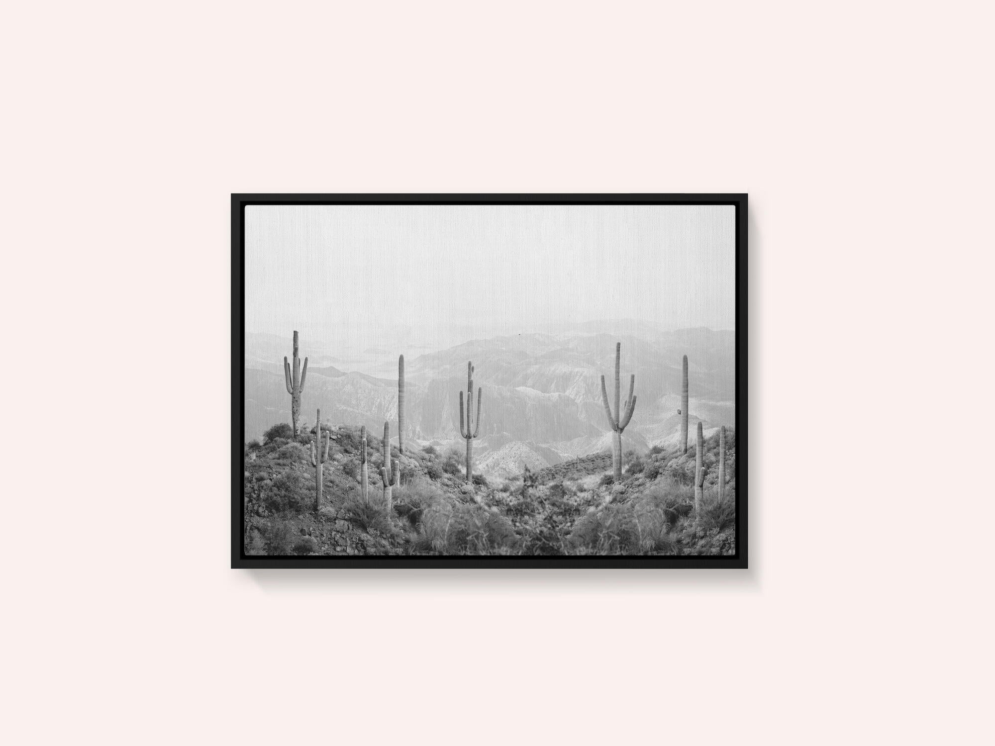 Western Cactus