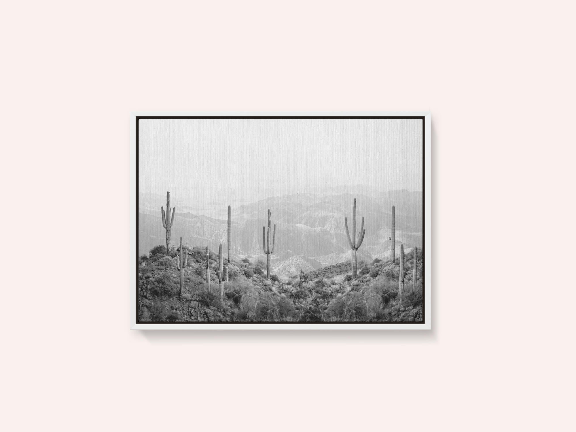 Western Cactus