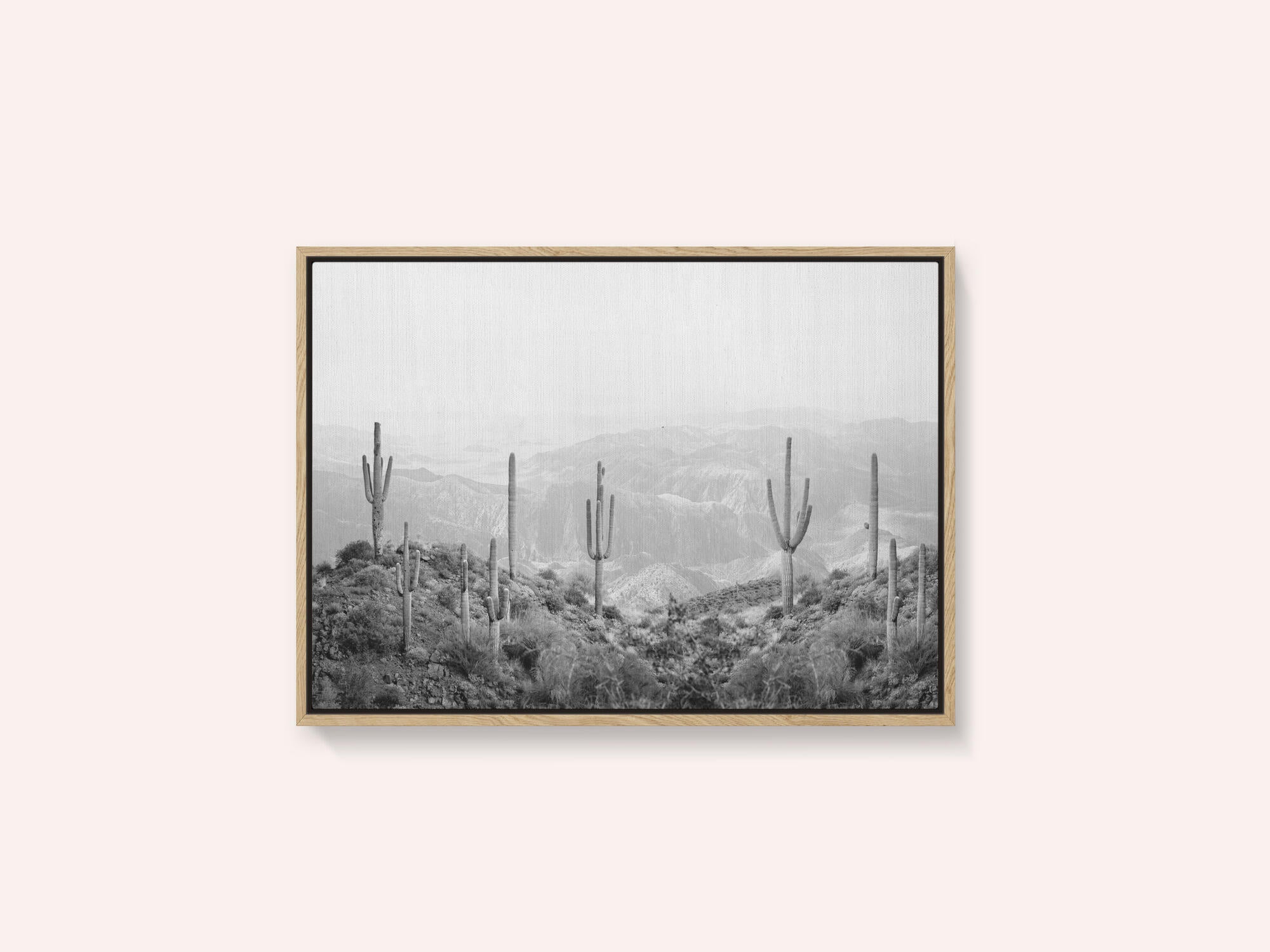 Western Cactus