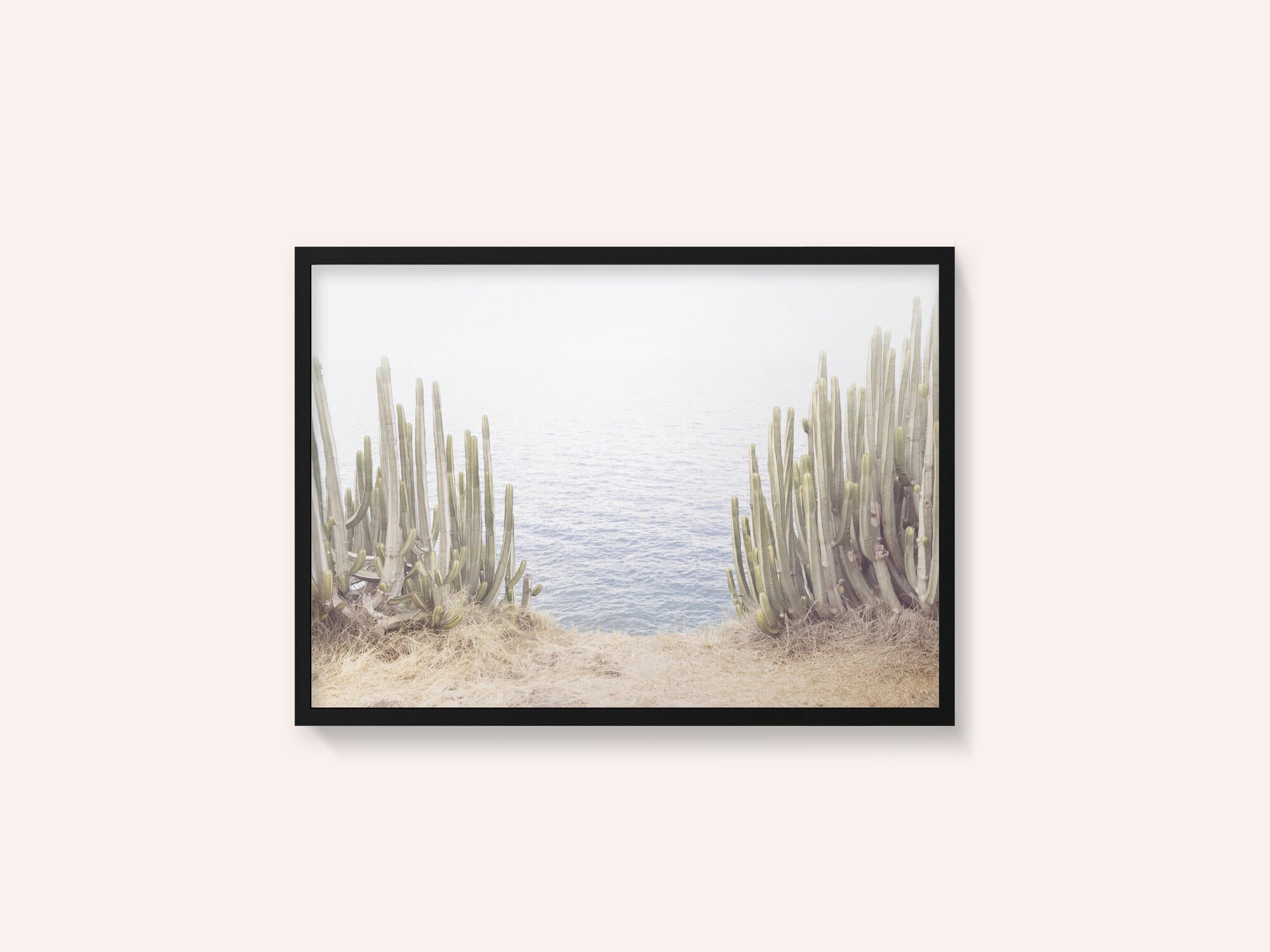 Ocean Cactus