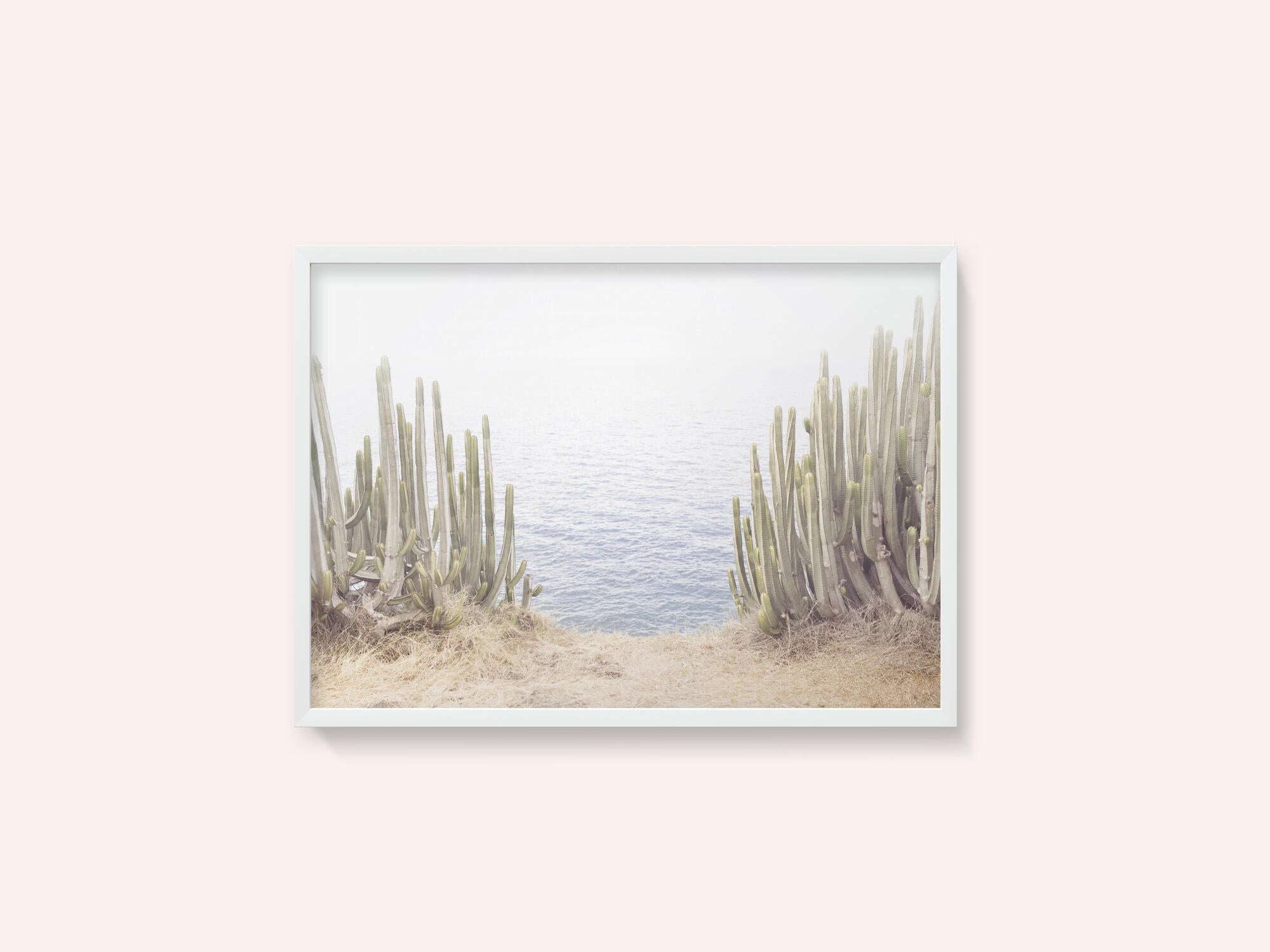 Ocean Cactus