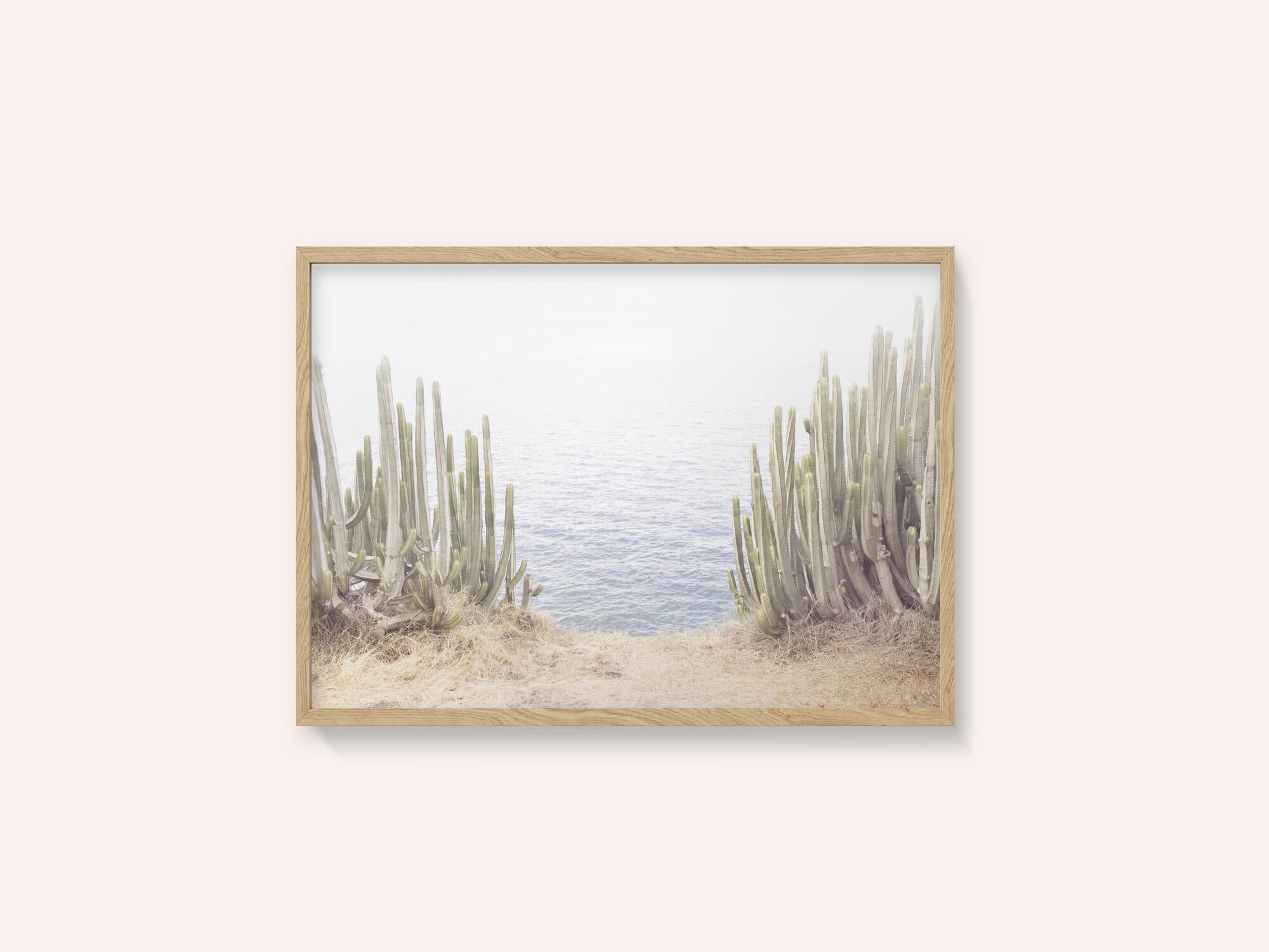 Ocean Cactus