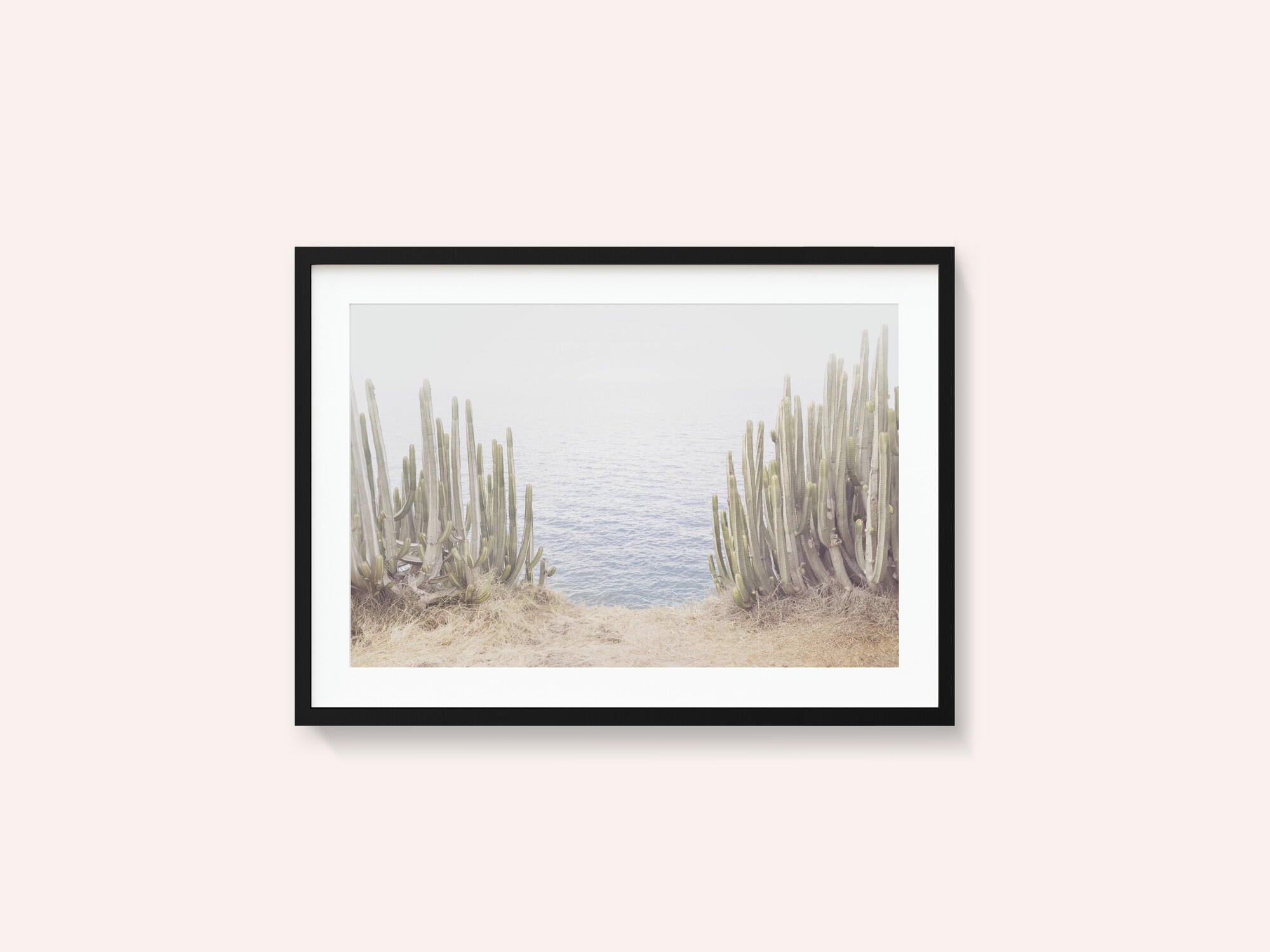 Ocean Cactus