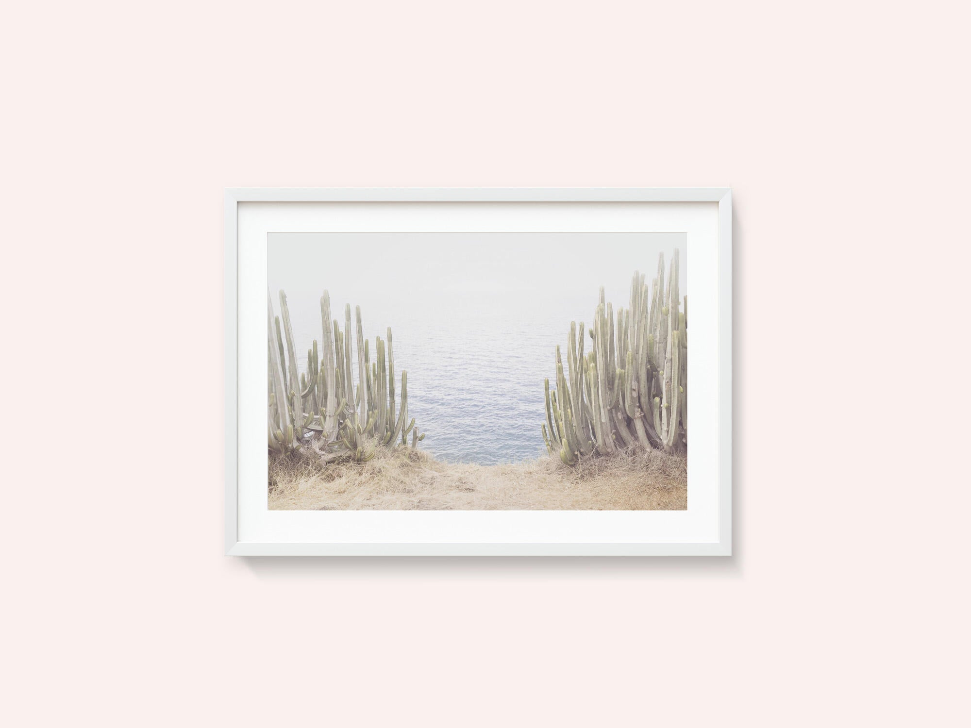 Ocean Cactus