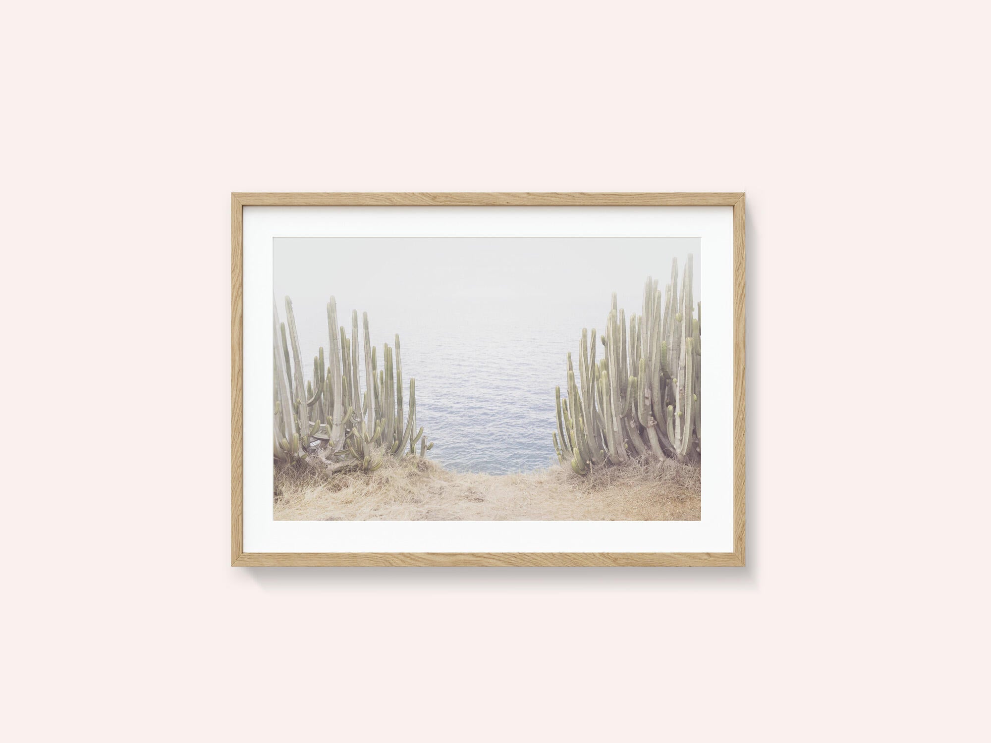Ocean Cactus