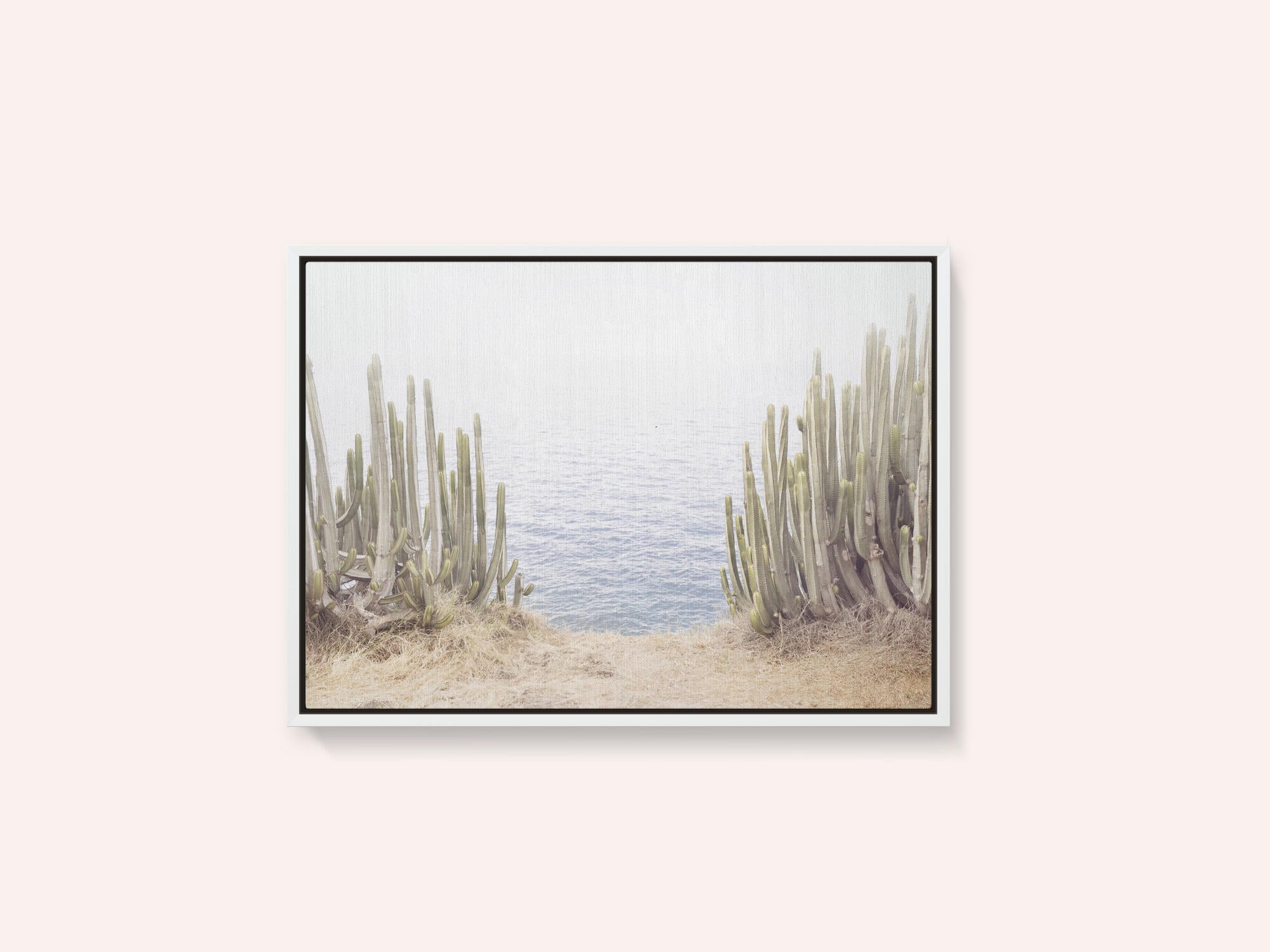 Ocean Cactus