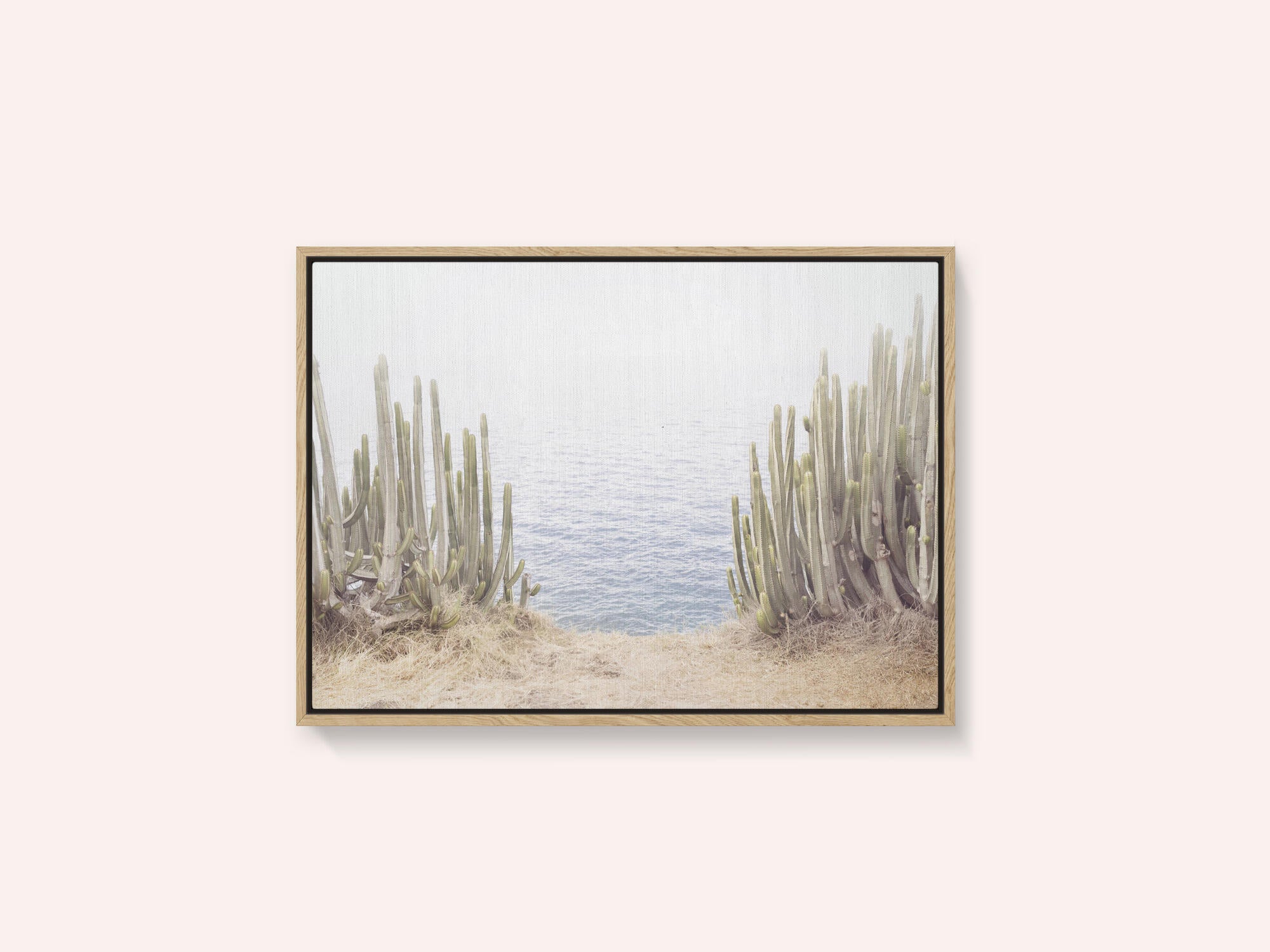 Ocean Cactus
