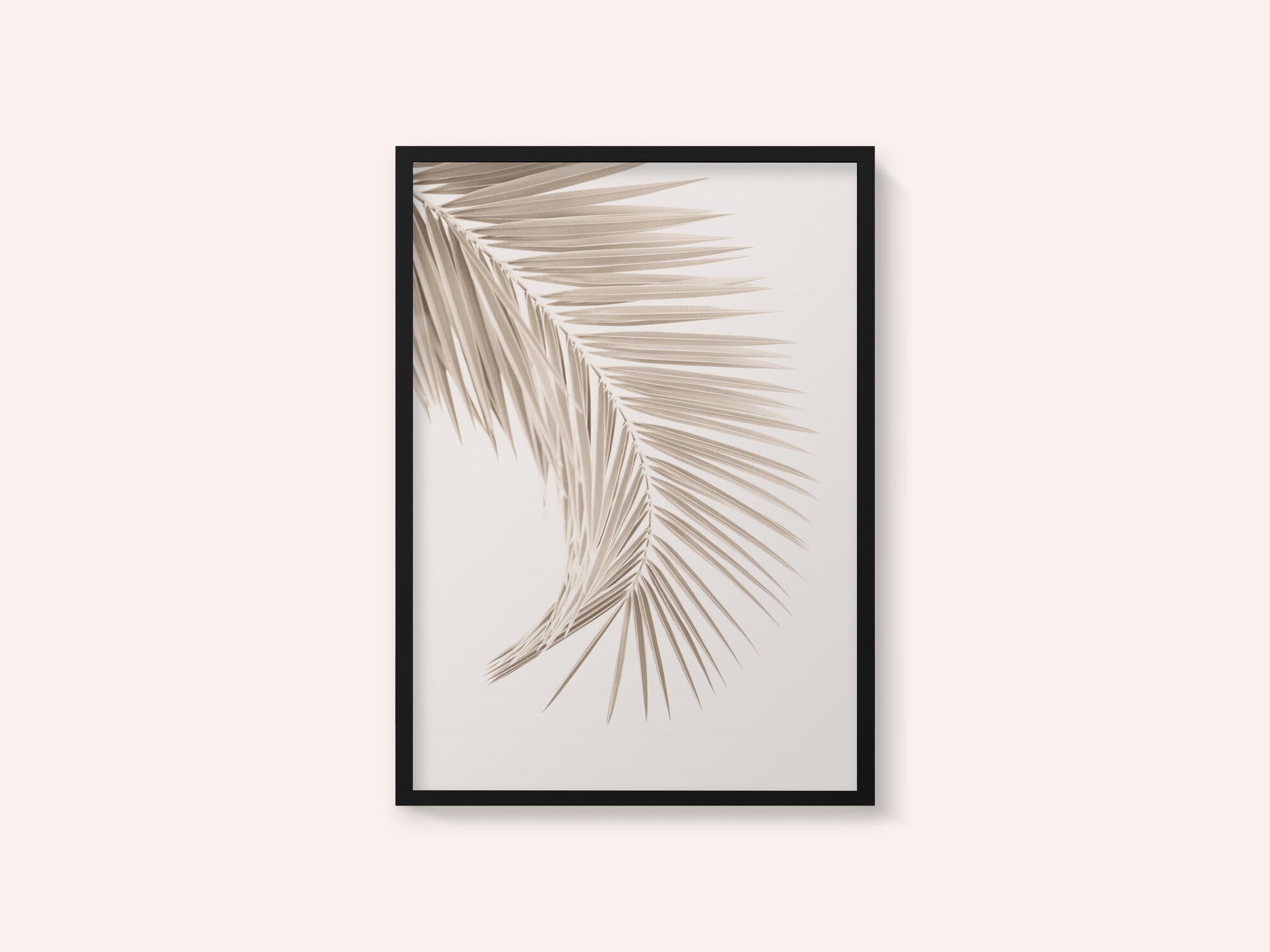 Tan Leaf