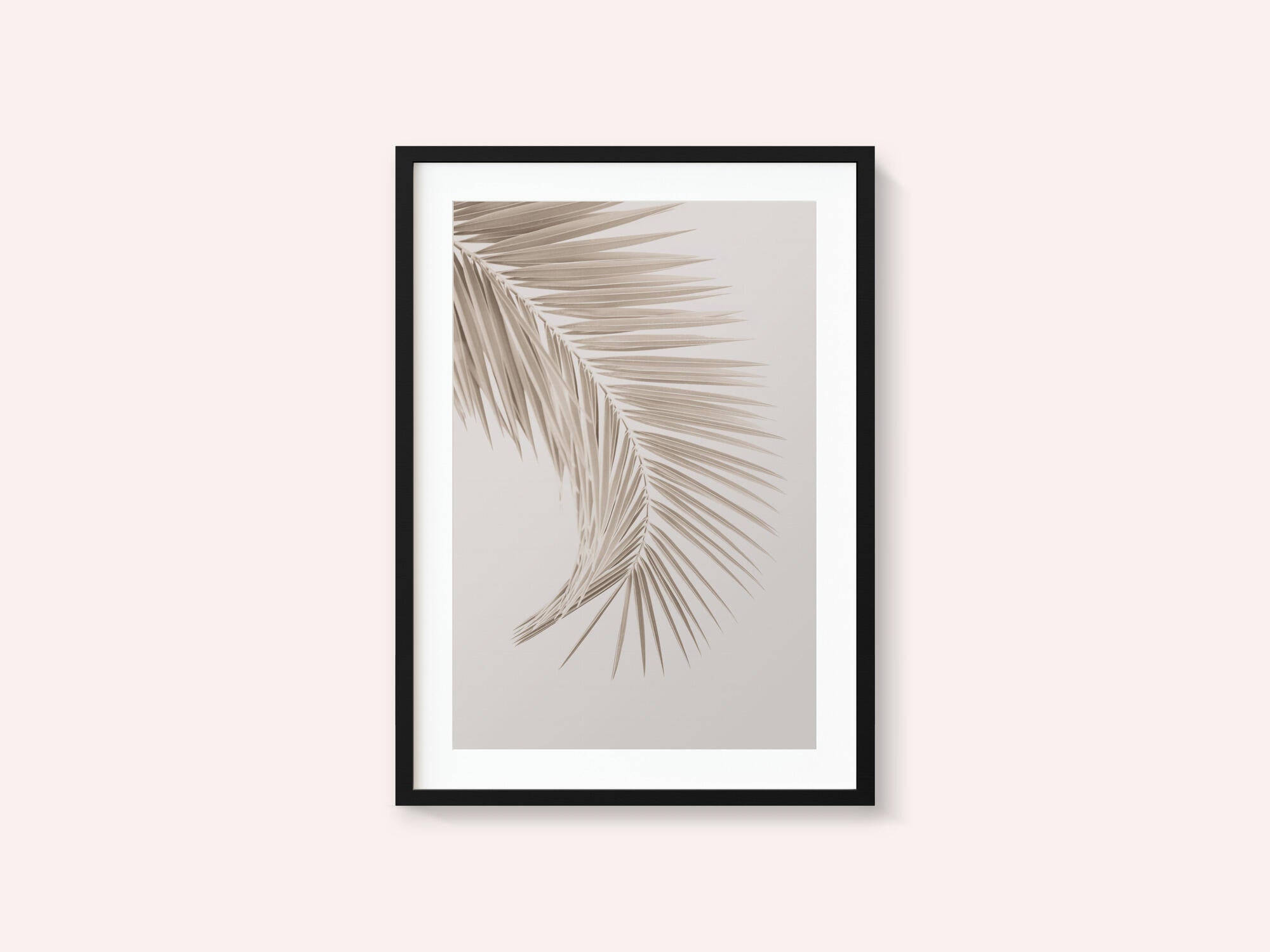Tan Leaf