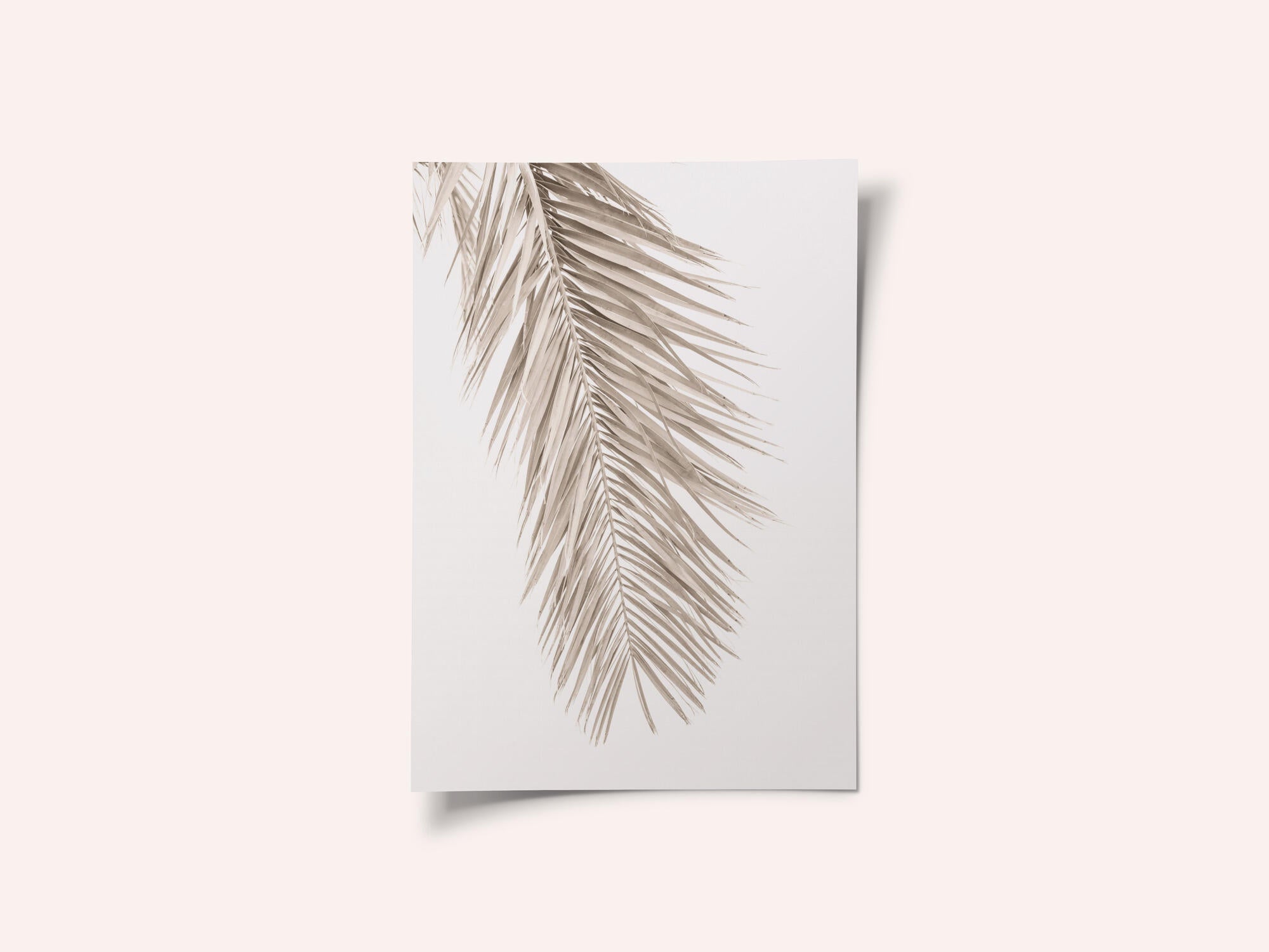 Tan Leaf 2