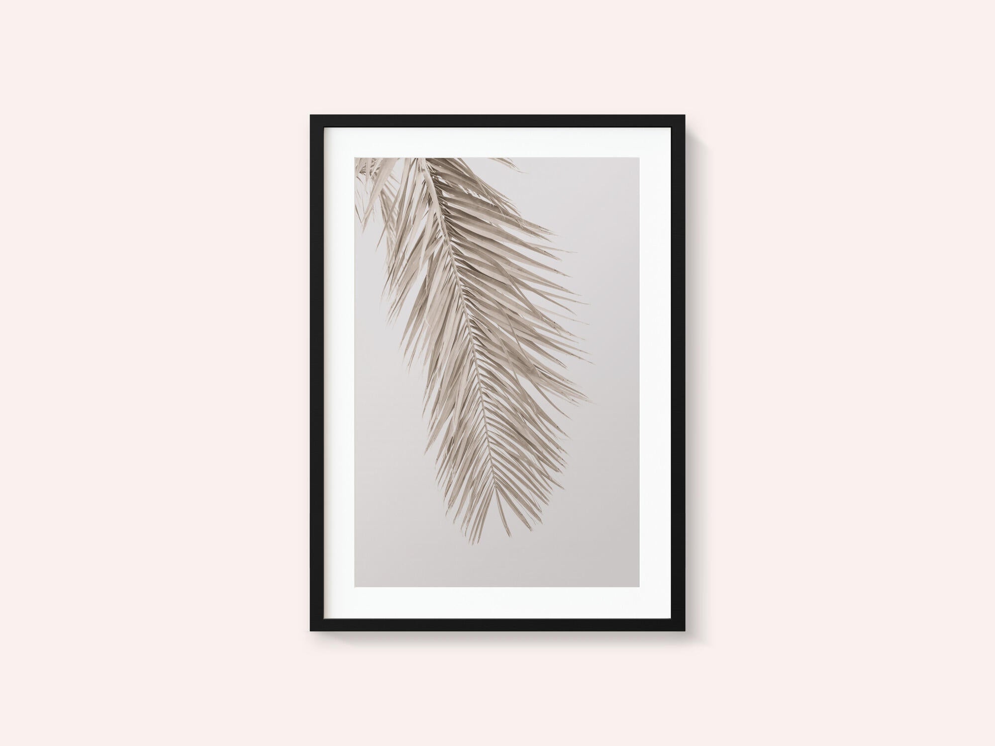 Tan Leaf 2