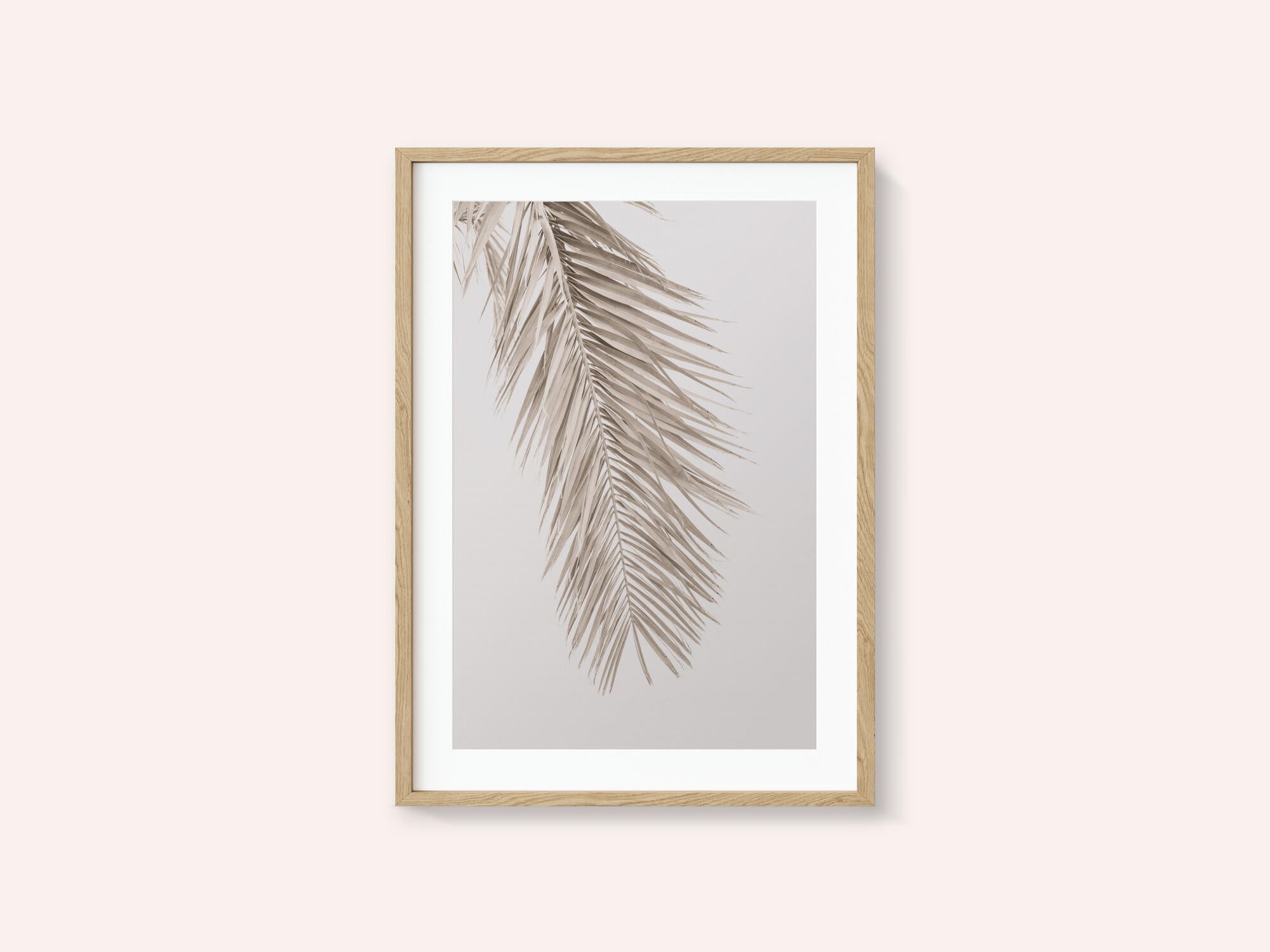 Tan Leaf 2