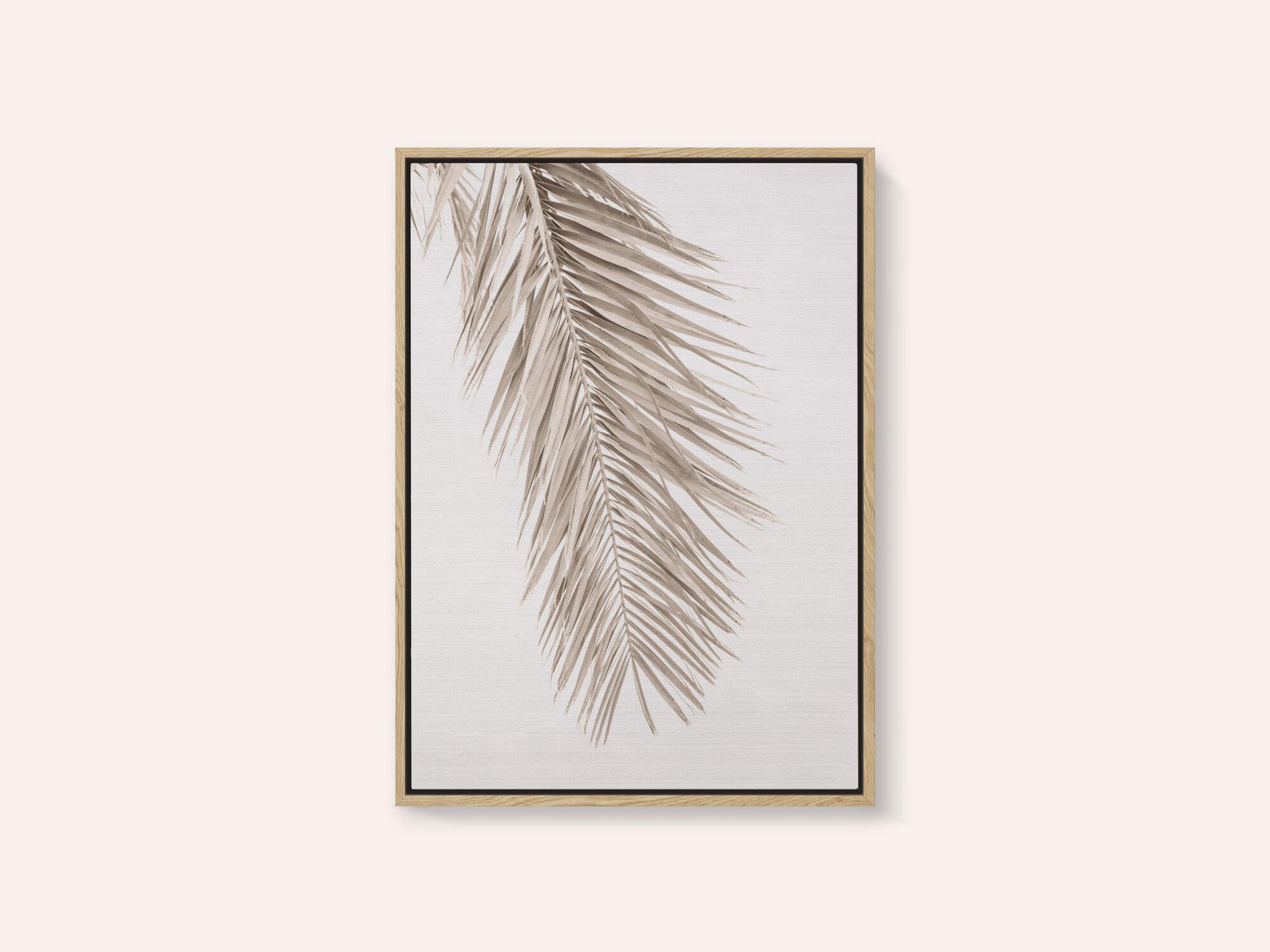 Tan Leaf 2
