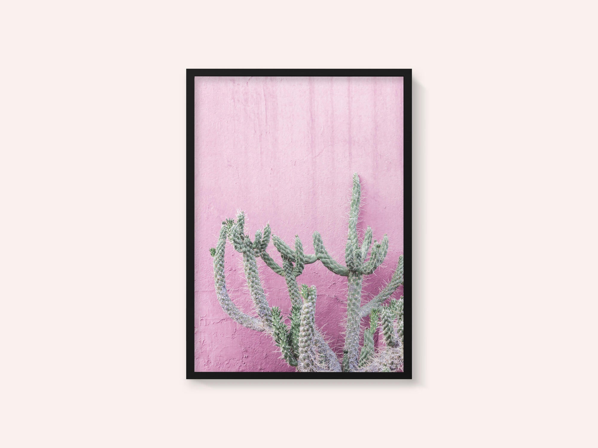 Cactus On Pink