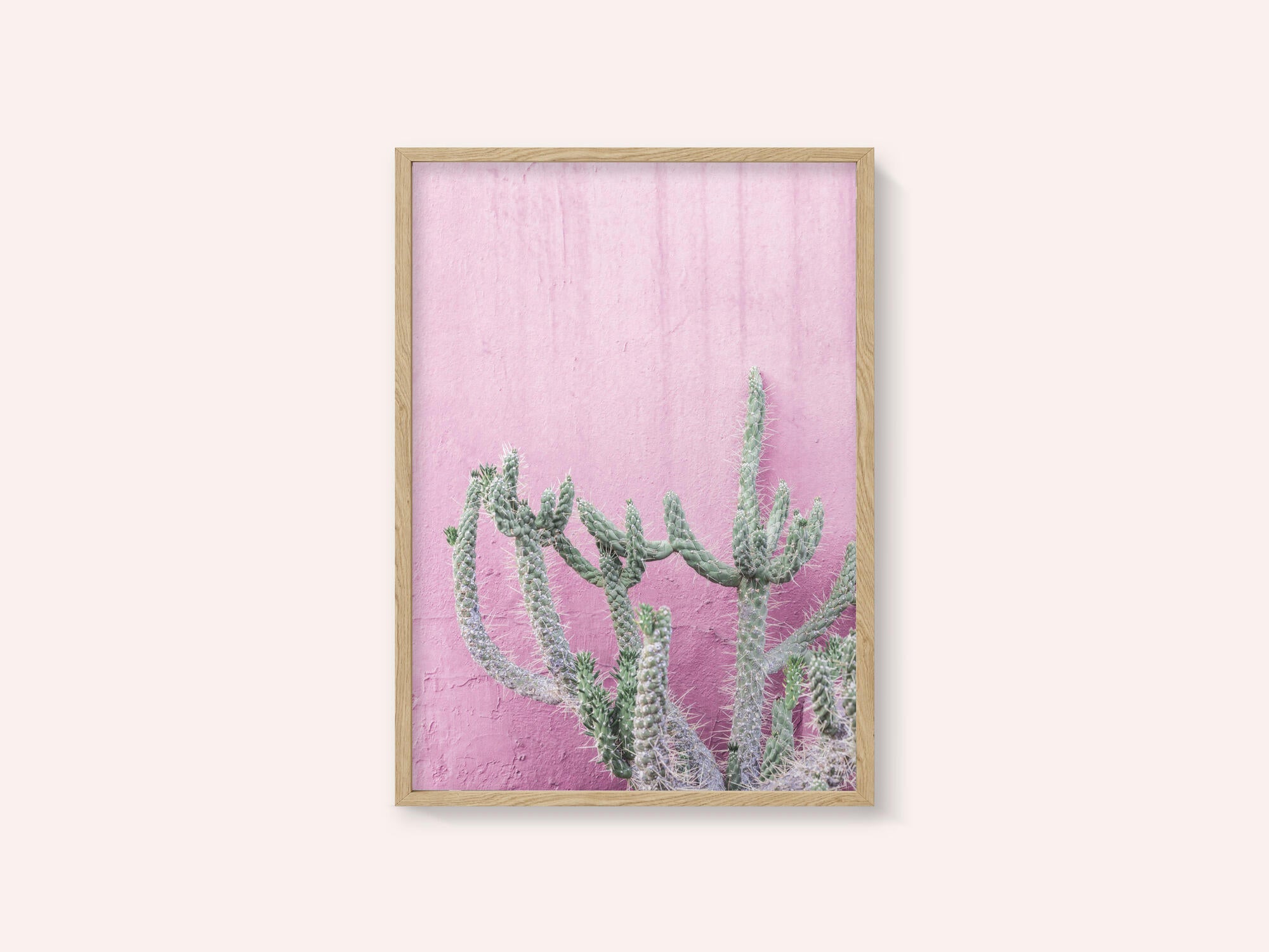 Cactus On Pink