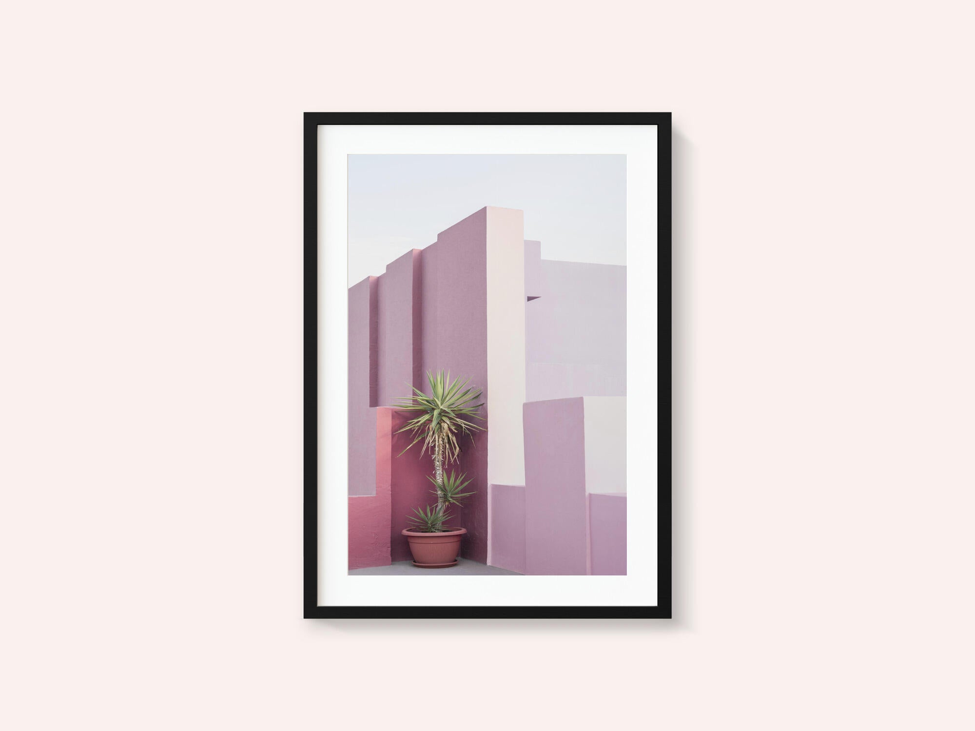 La Muralla Roja 4