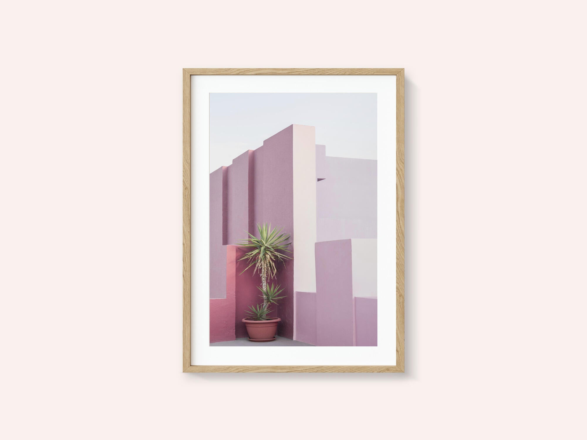 La Muralla Roja 4