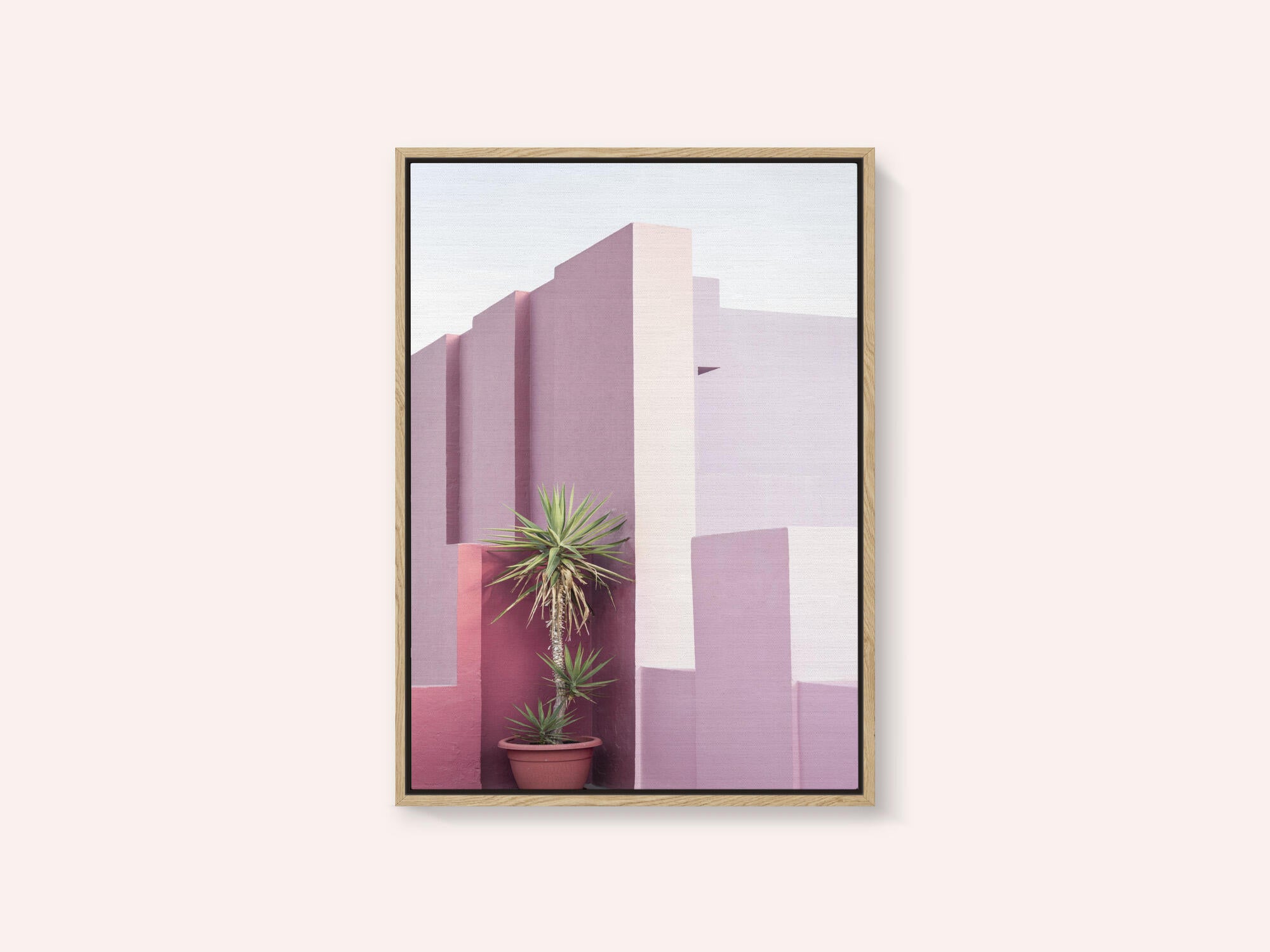 La Muralla Roja 4