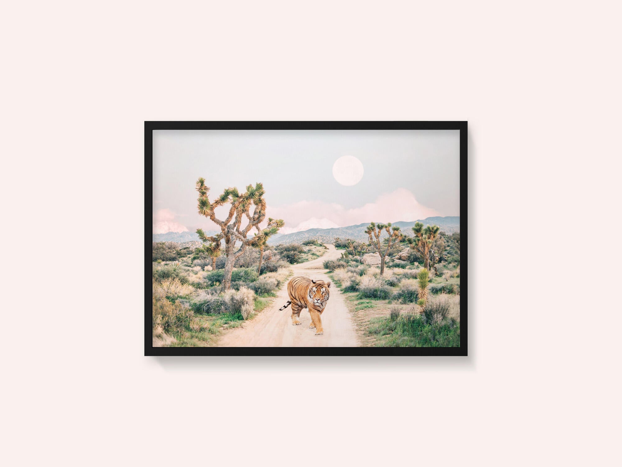 Wandering Tiger