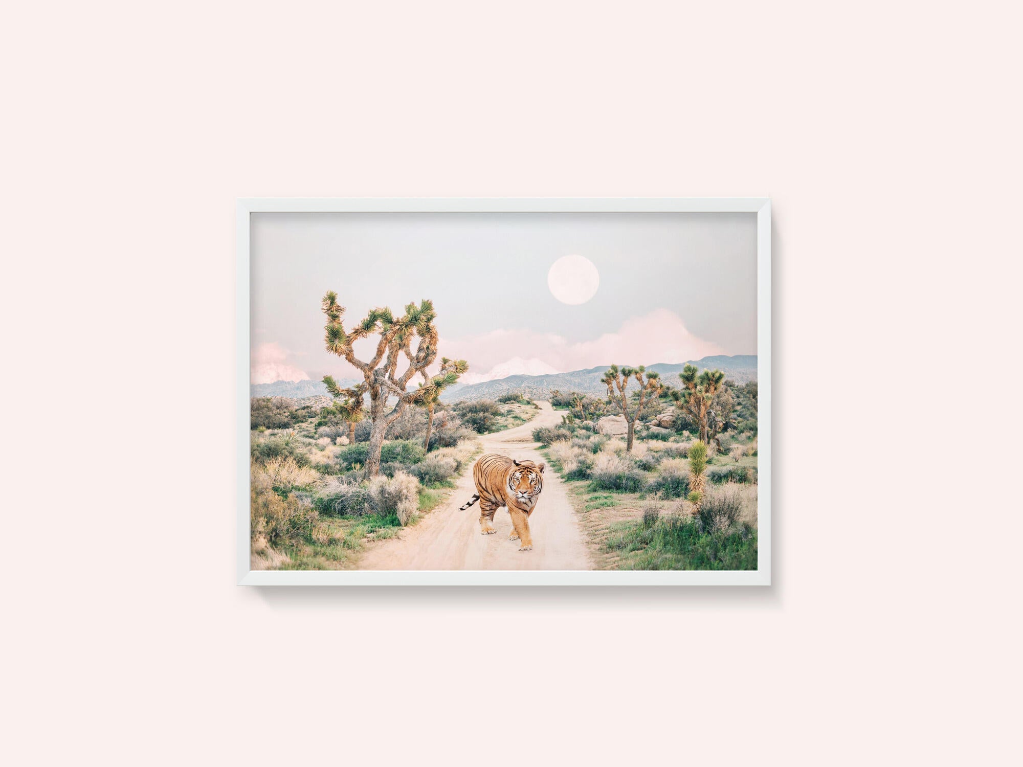 Wandering Tiger