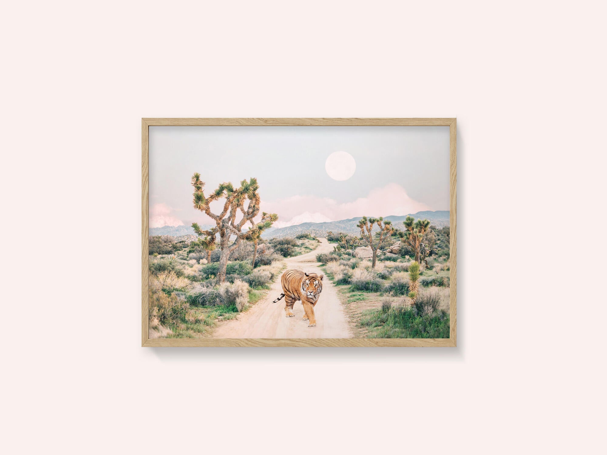 Wandering Tiger