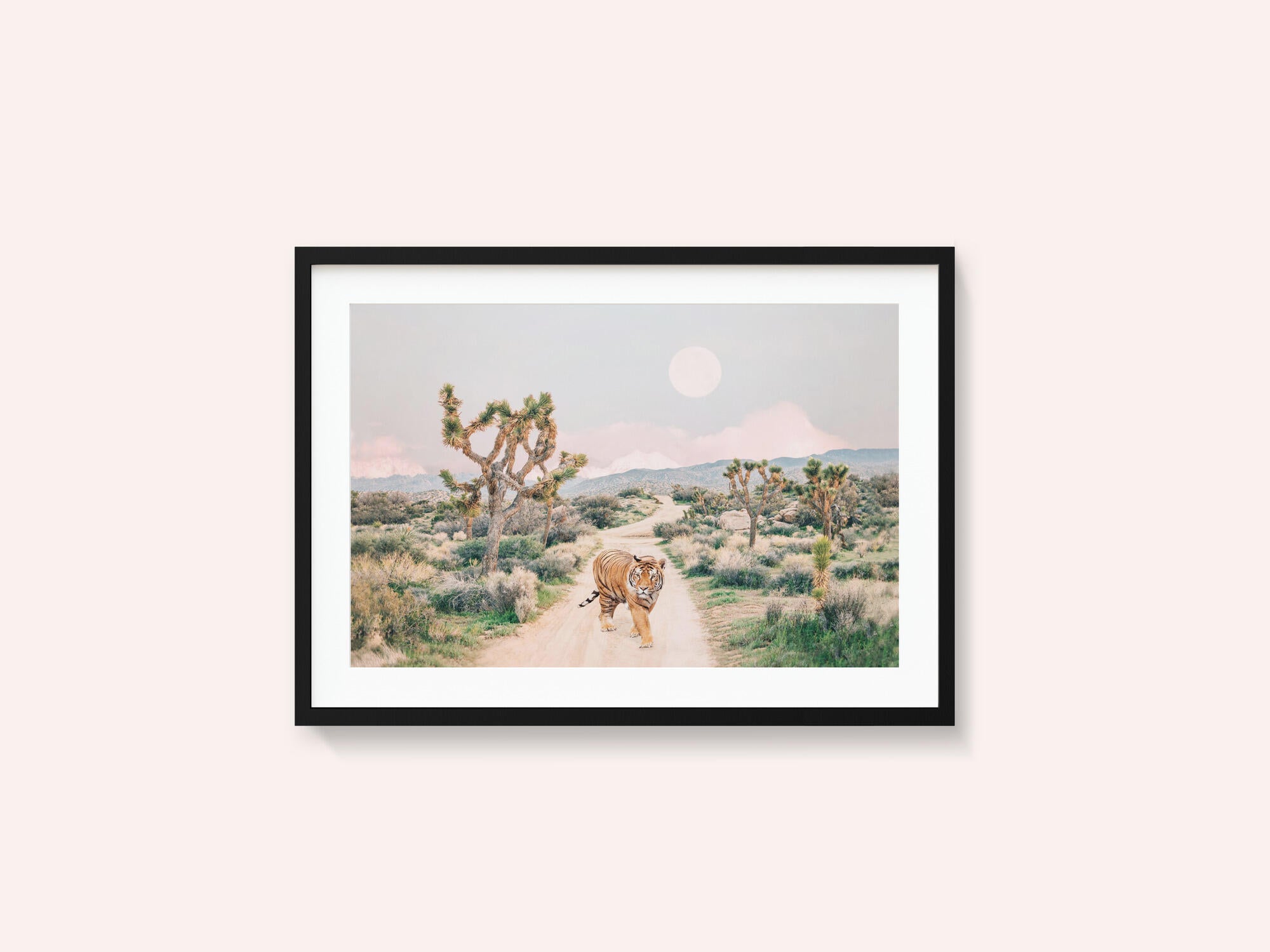 Wandering Tiger