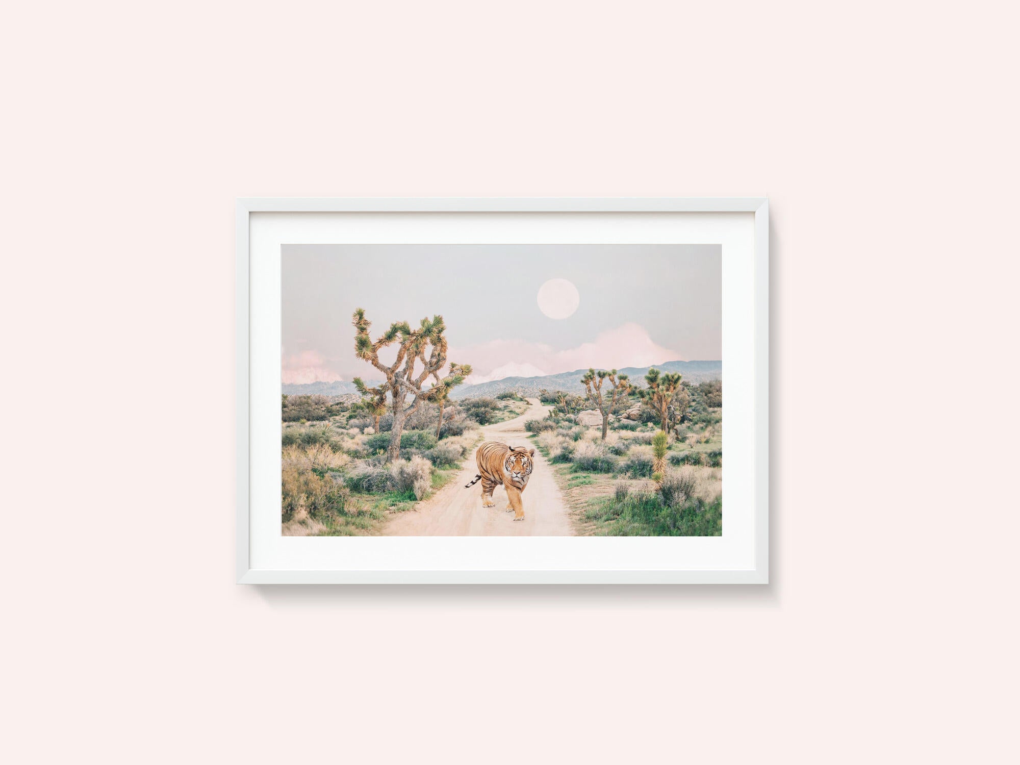 Wandering Tiger