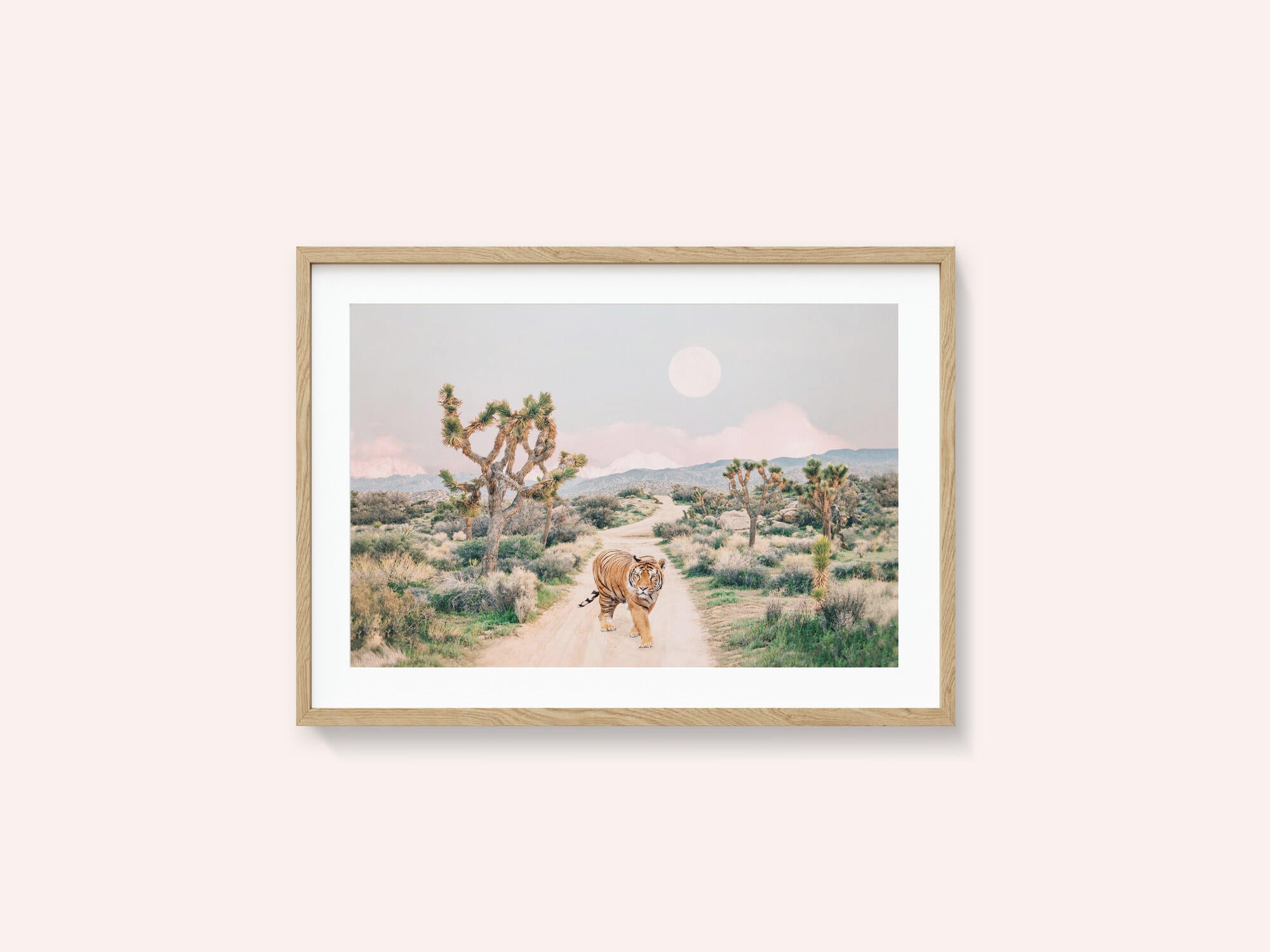 Wandering Tiger