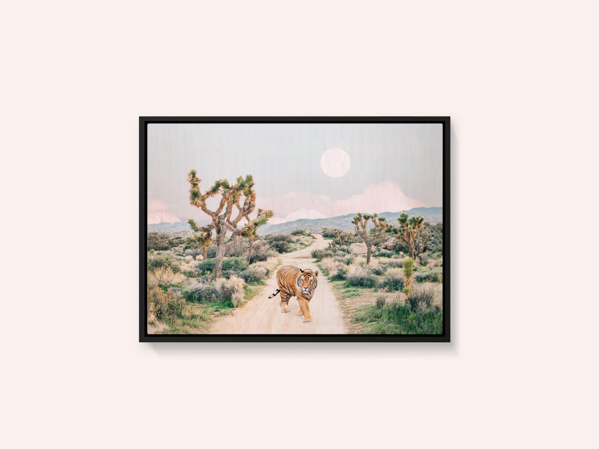 Wandering Tiger