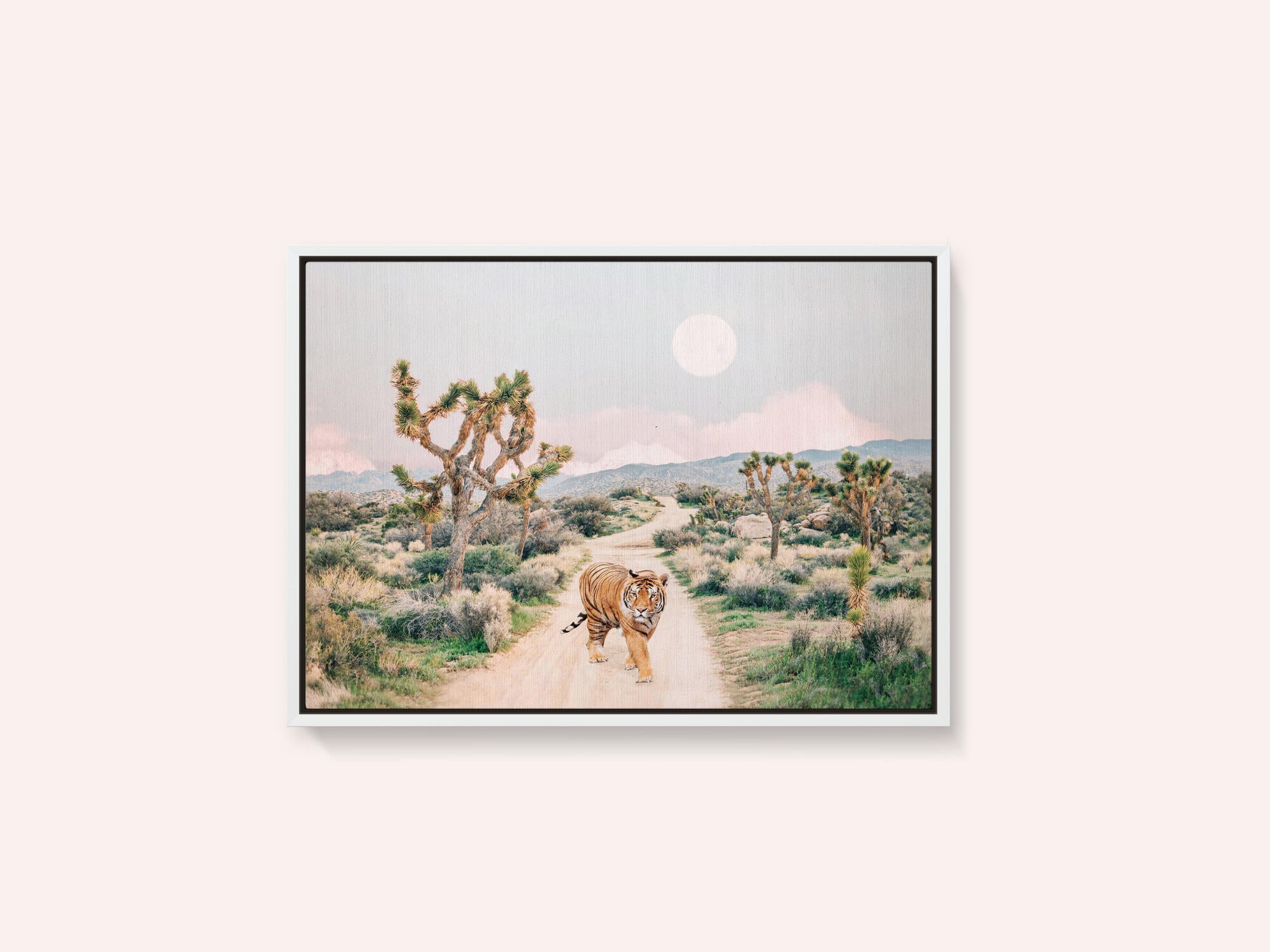 Wandering Tiger