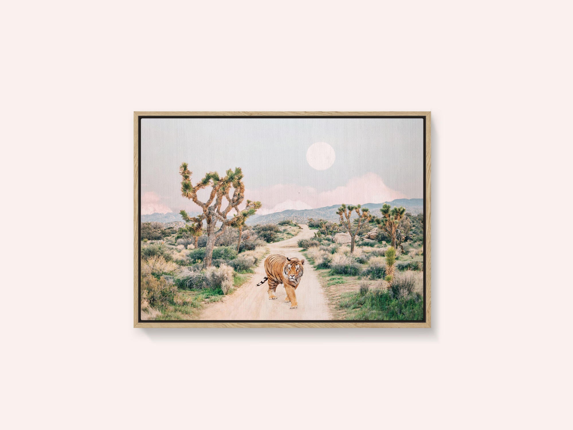 Wandering Tiger