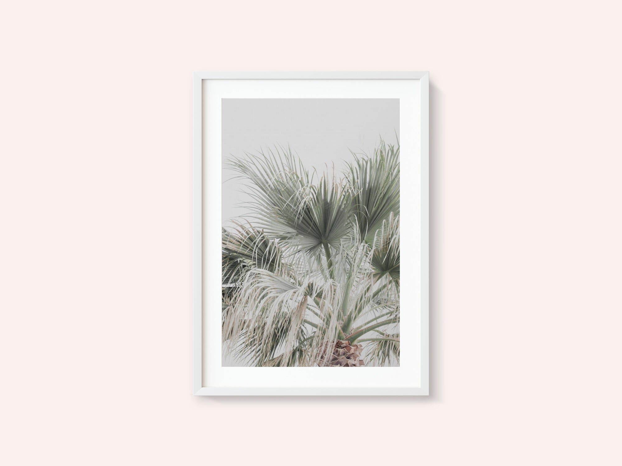 Palm Leaf