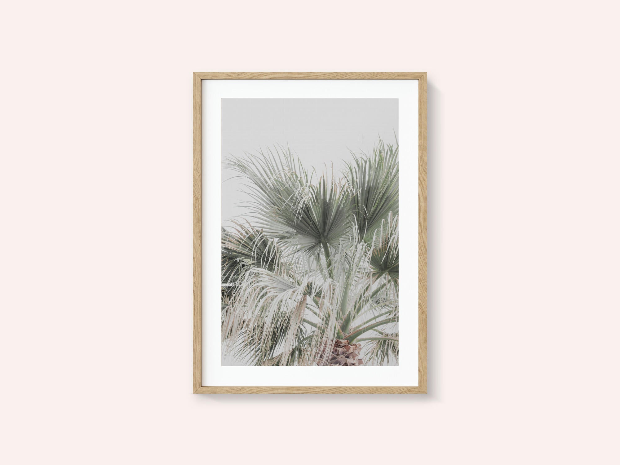 Palm Leaf