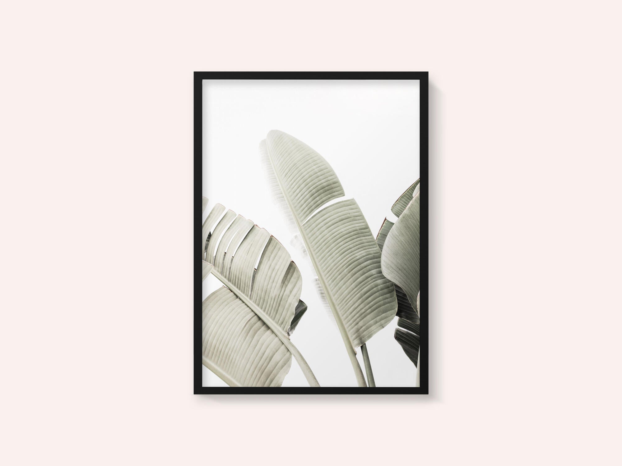 Banana leaf 1
