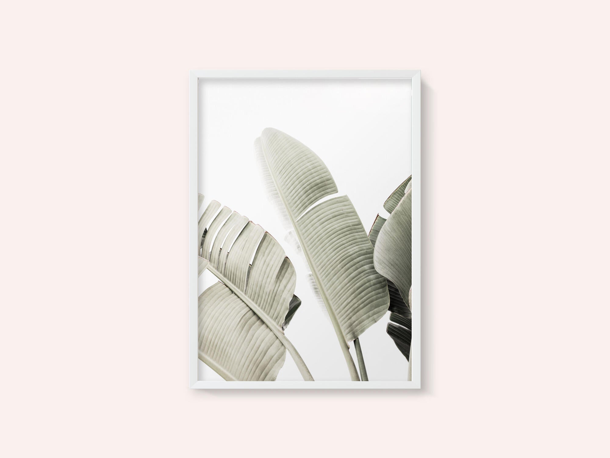 Banana leaf 1