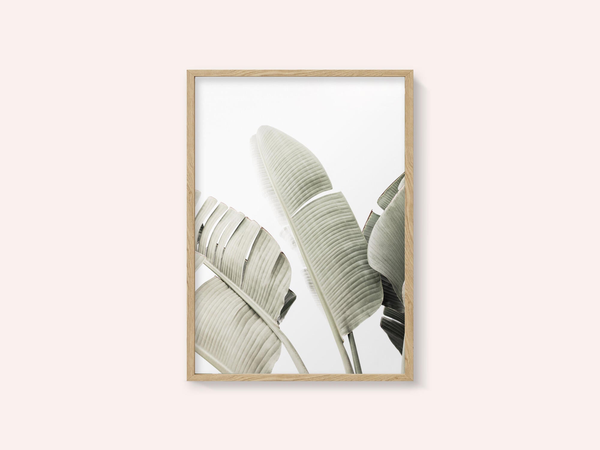 Banana leaf 1