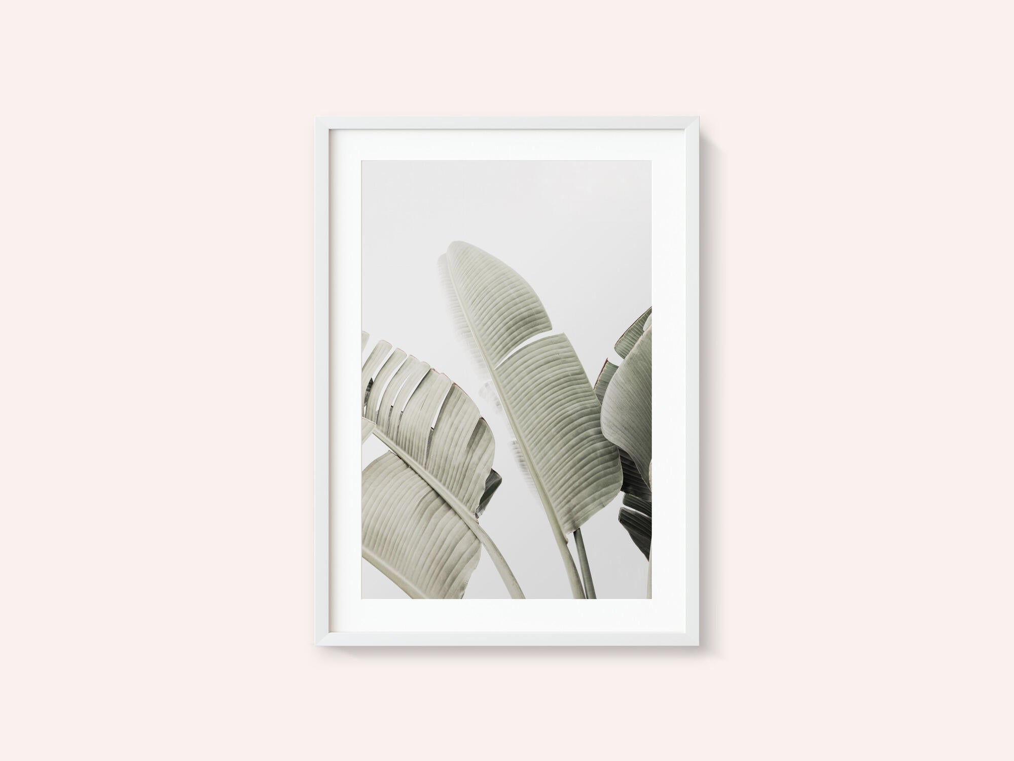 Banana leaf 1