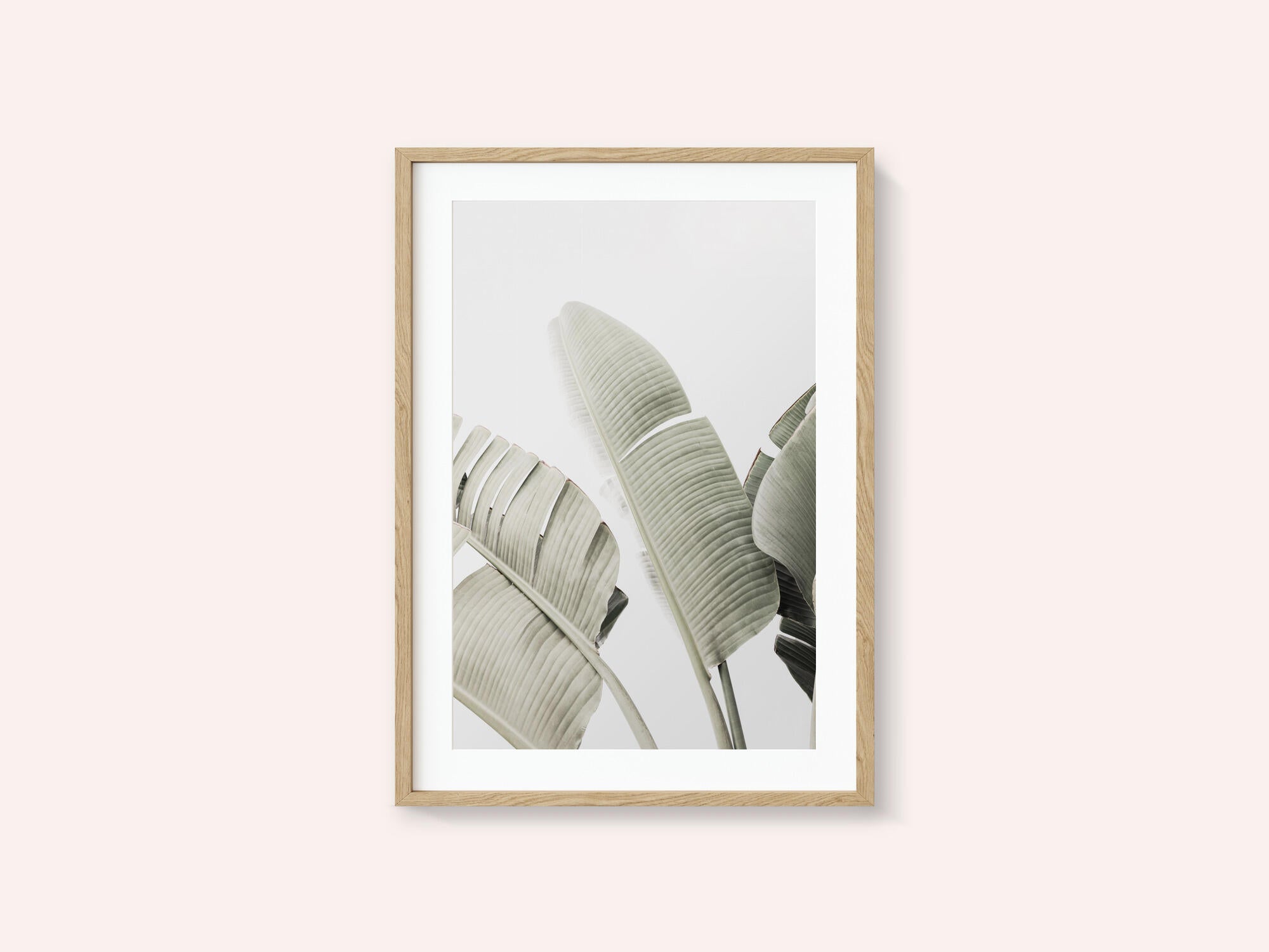 Banana leaf 1