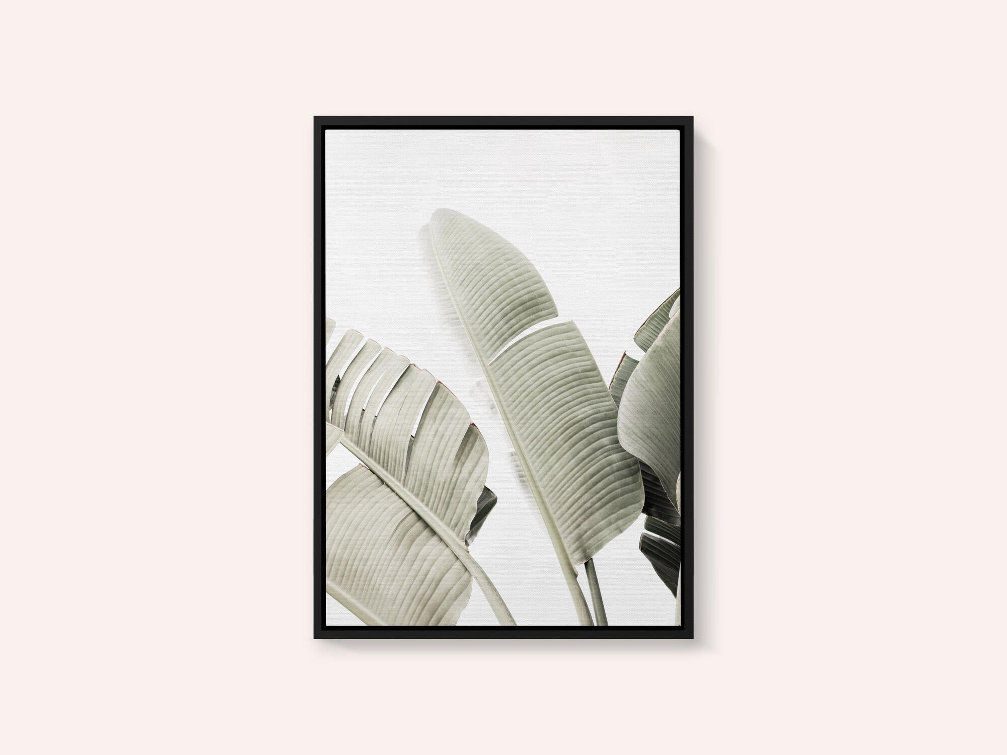 Banana leaf 1